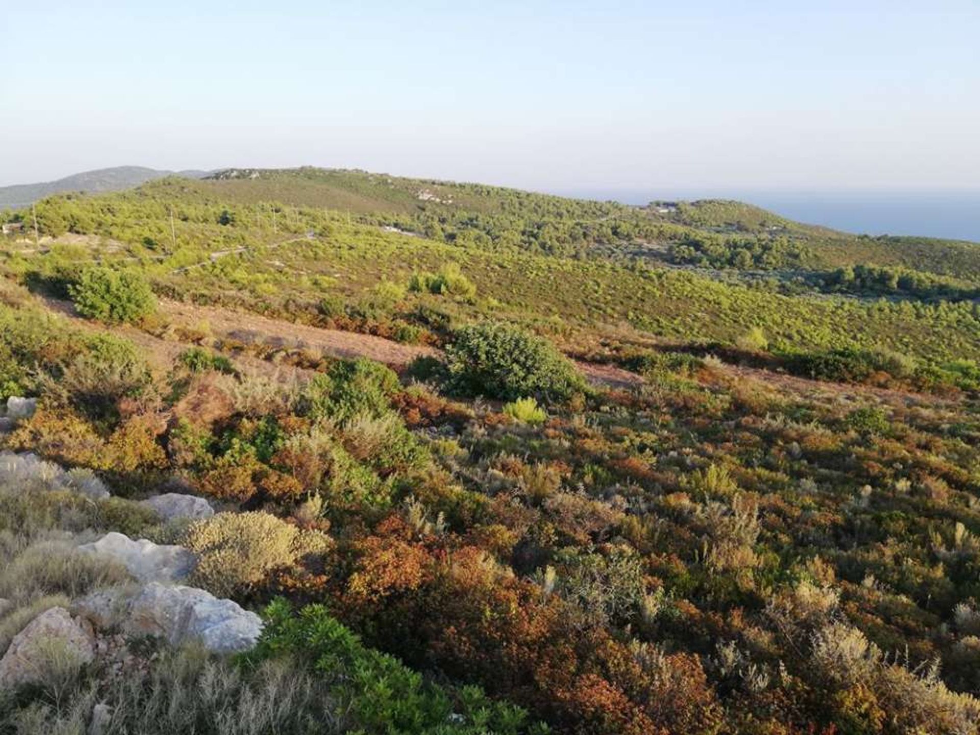 ארץ ב Zakynthos, Zakinthos 10086645