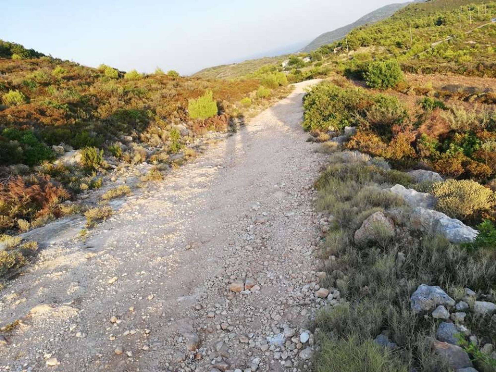 ארץ ב Zakynthos, Zakinthos 10086645