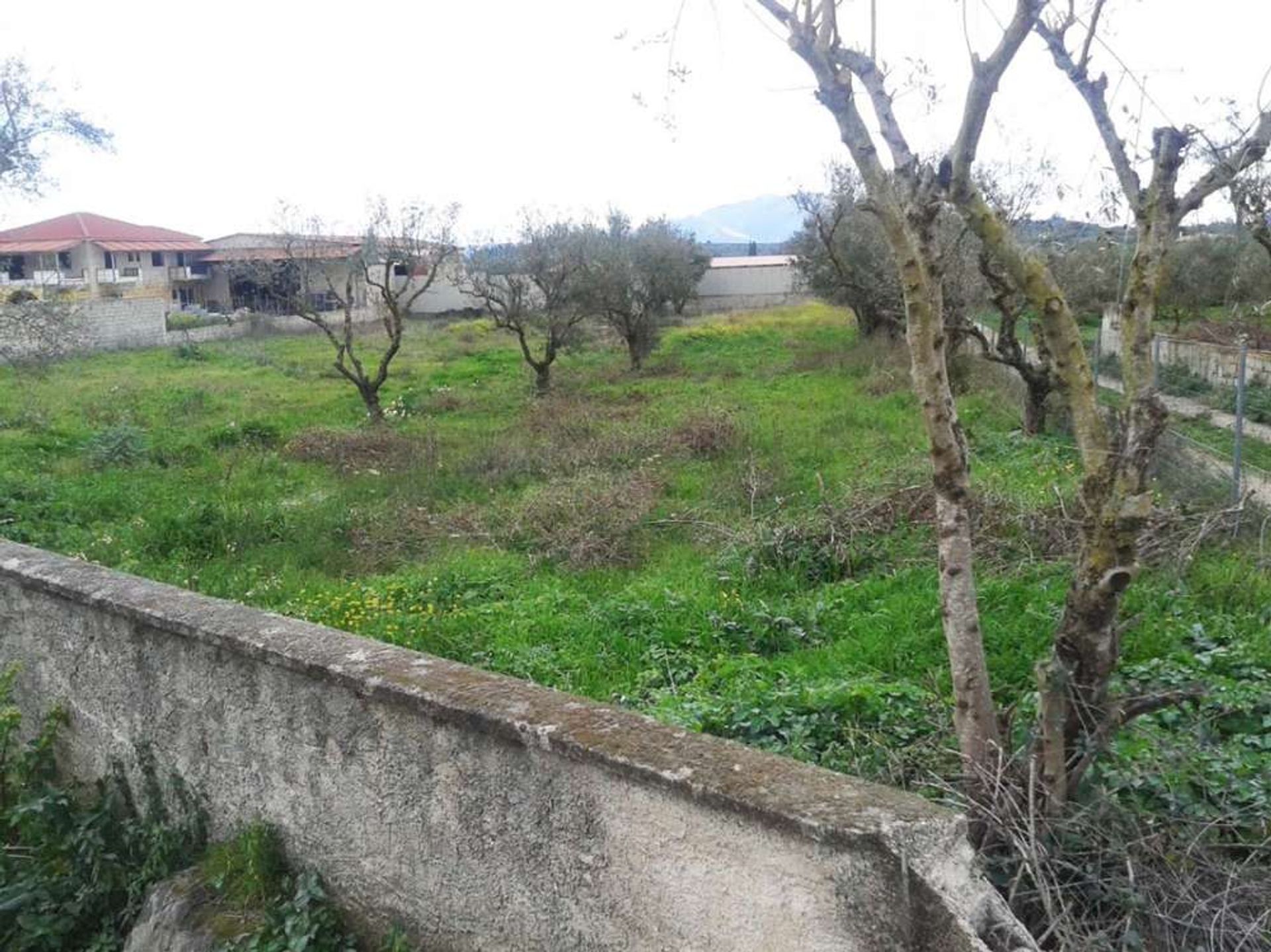 土地 在 Zakynthos, Zakinthos 10086646