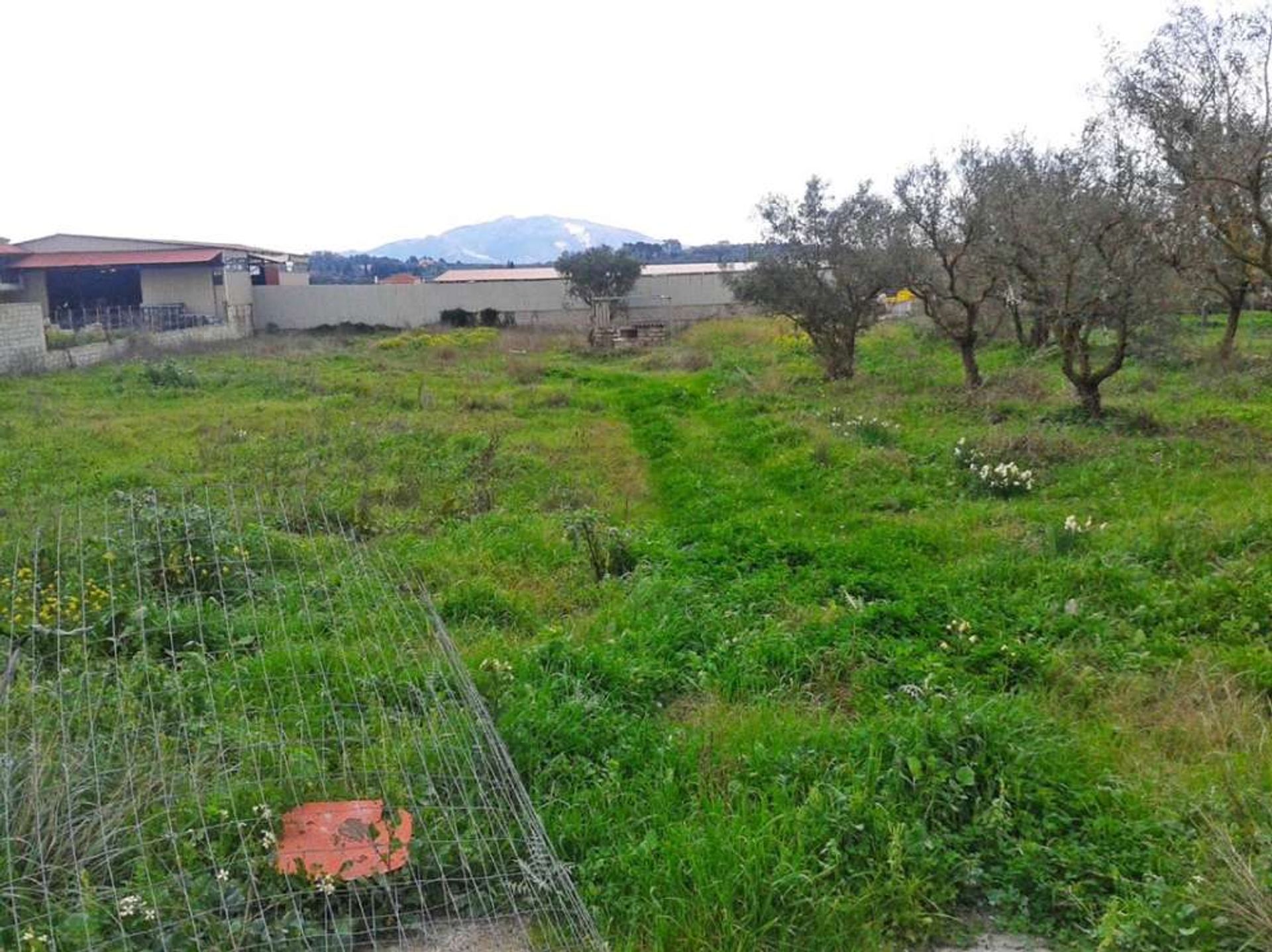 Tierra en bochalí, Jonia Nisia 10086646