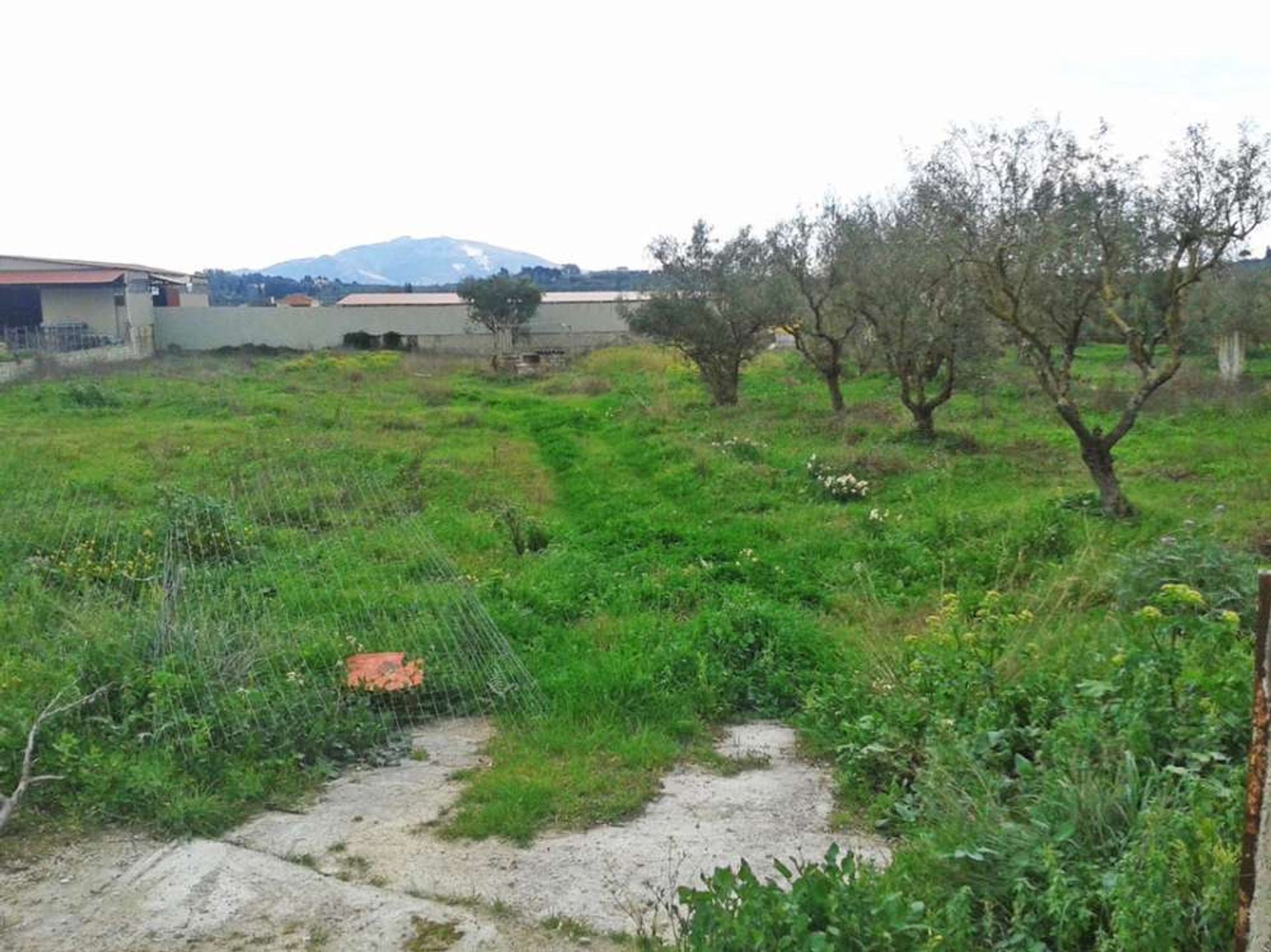 Land i Bochali, Ionia Nisia 10086646