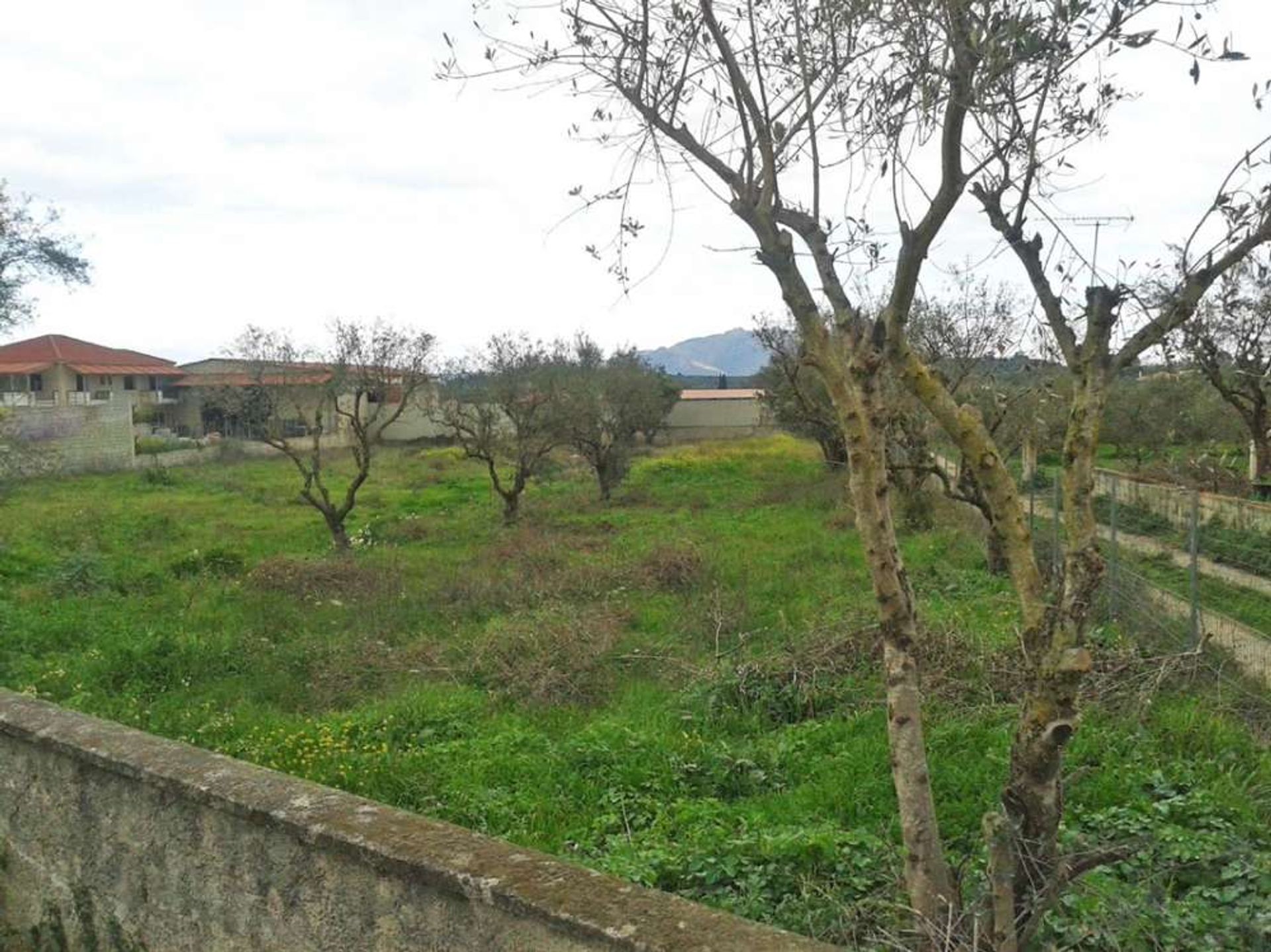 Tierra en Zakynthos, Zakinthos 10086646