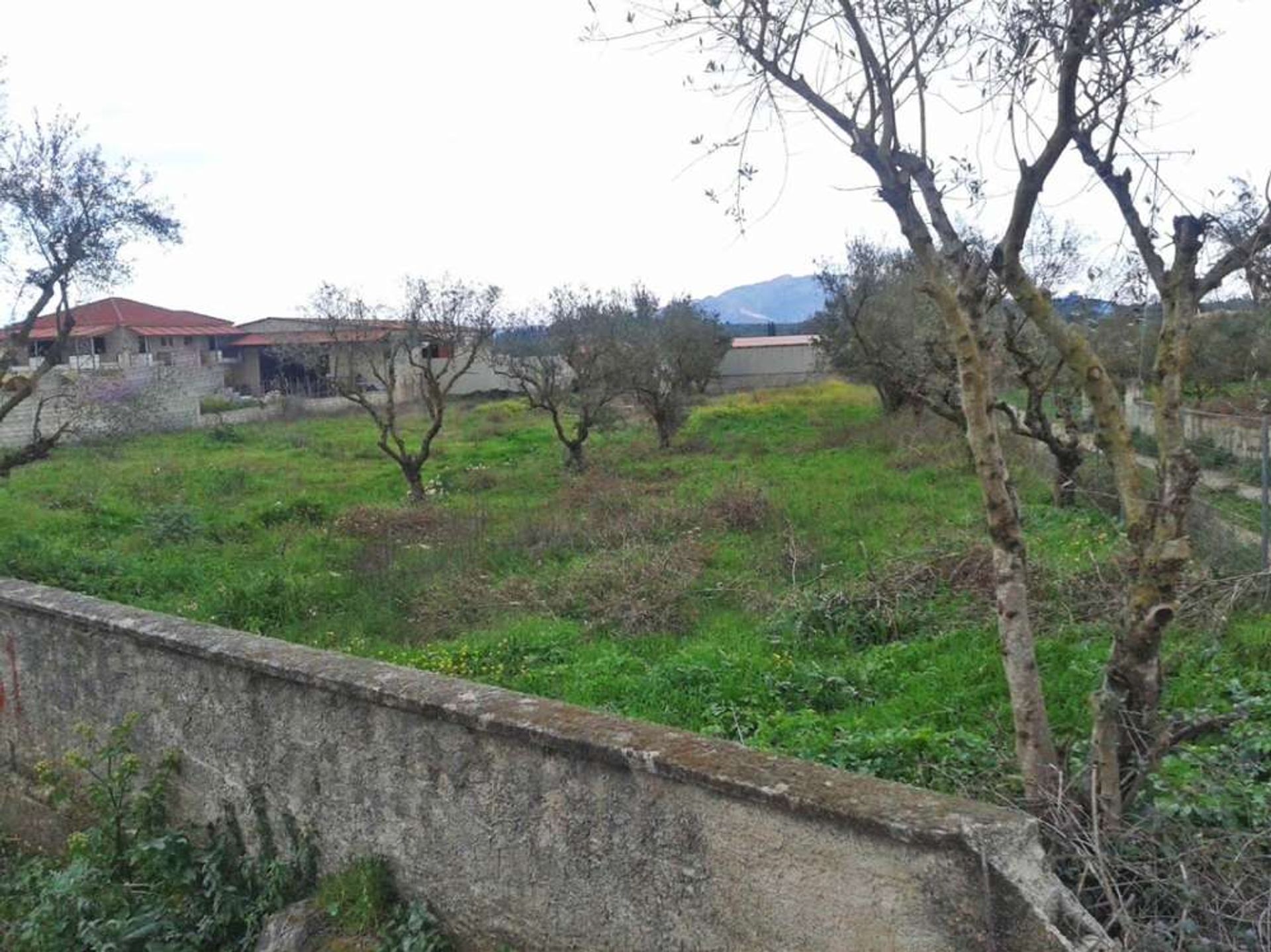 Tierra en Zakynthos, Zakinthos 10086646