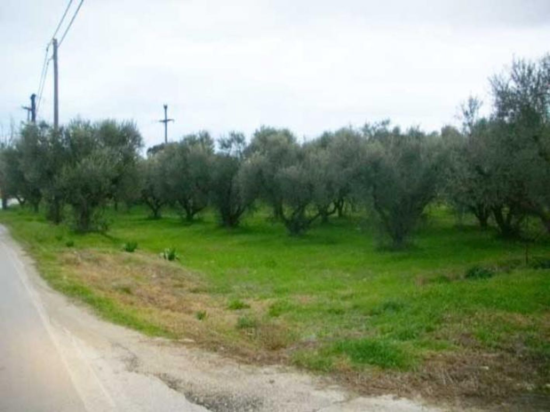 土地 在 Zakynthos, Zakinthos 10086648