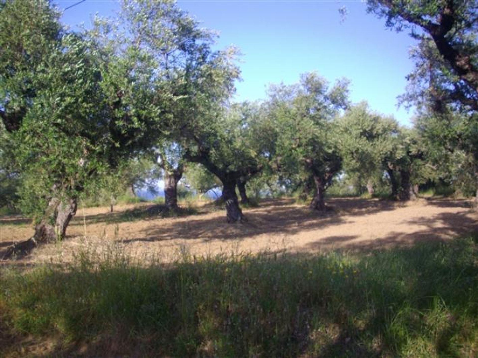 Tanah dalam Zakynthos, Zakinthos 10086649