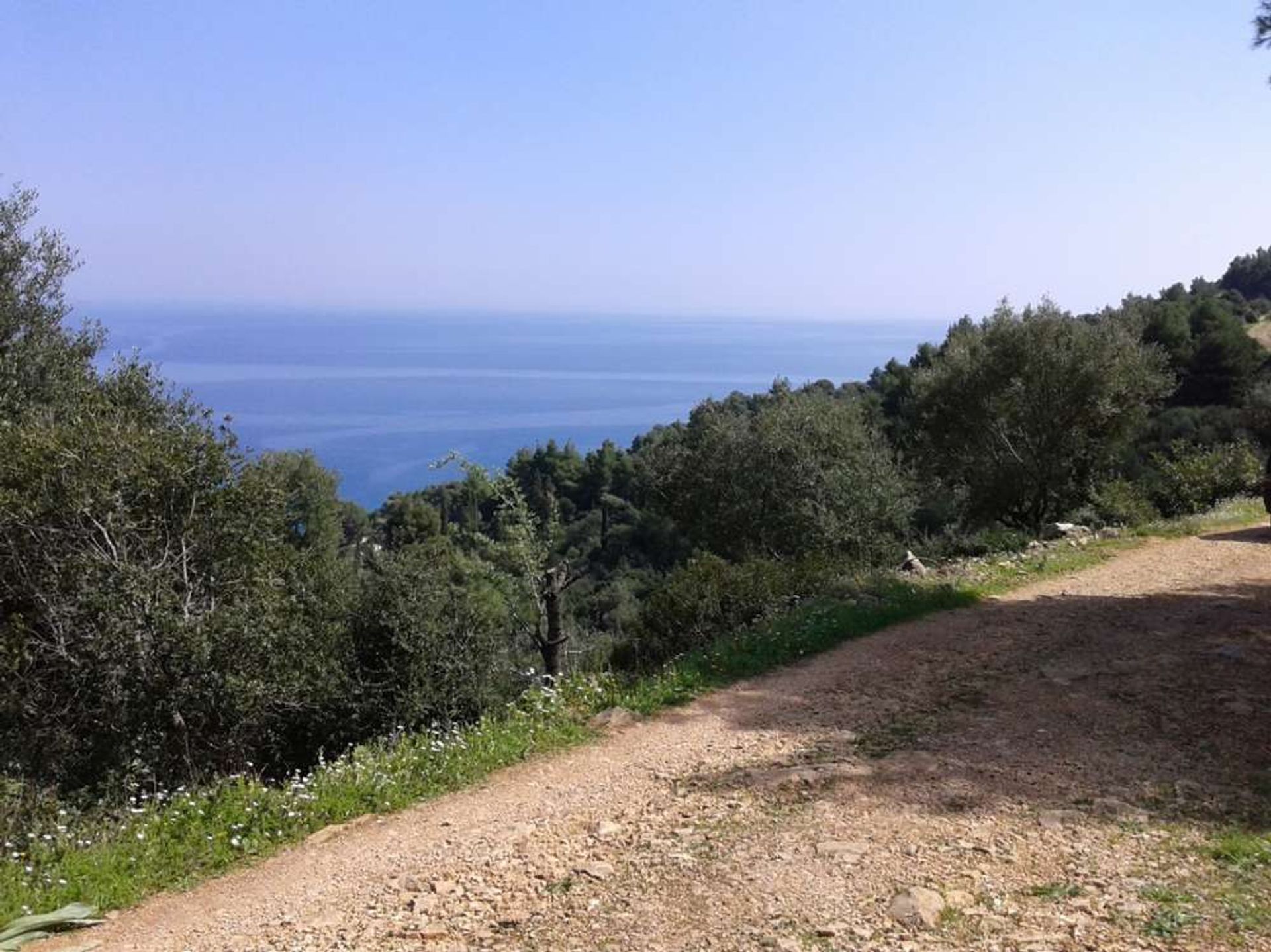 Tanah dalam Zakynthos, Zakinthos 10086652