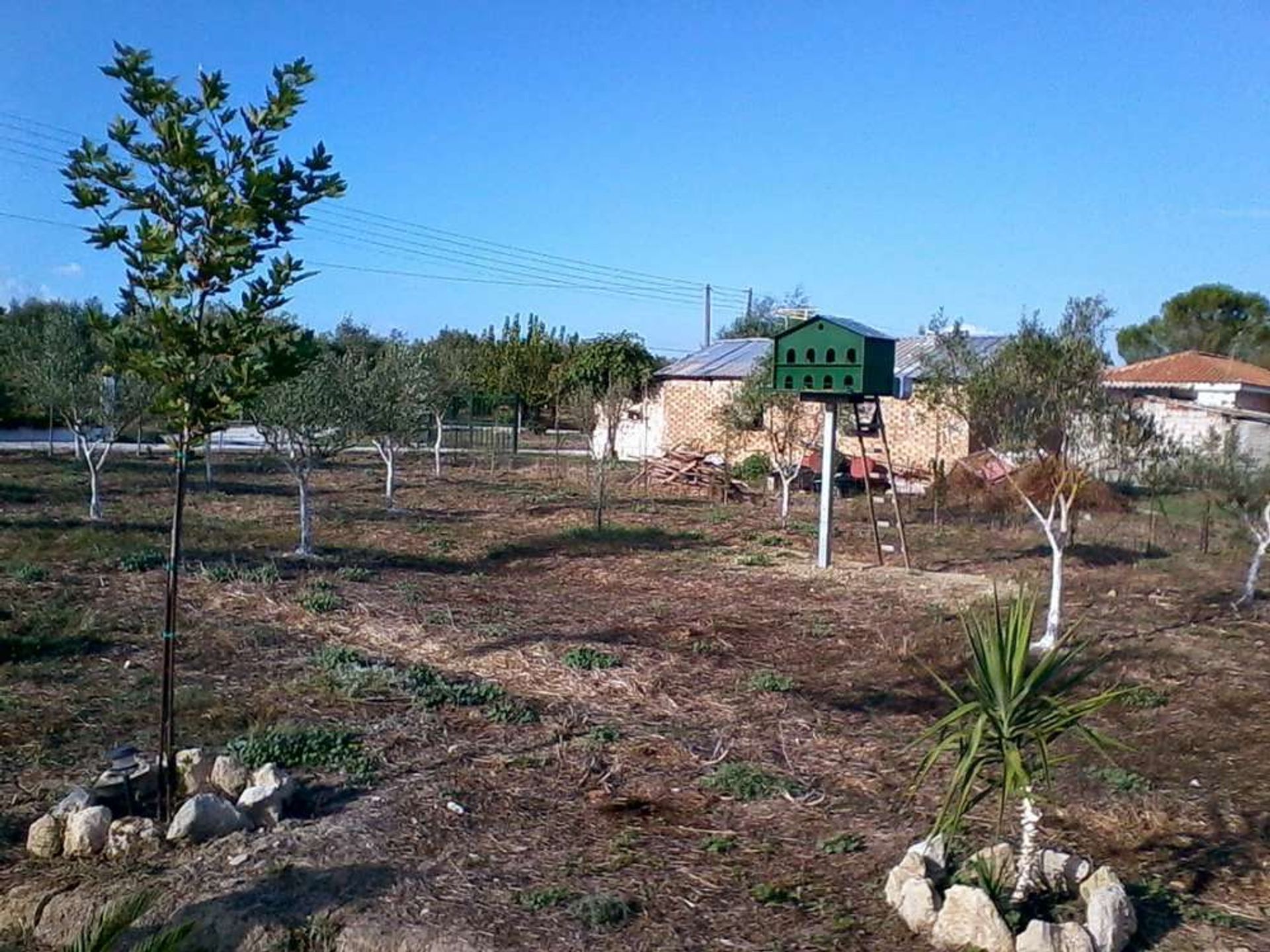 Tierra en bochalí, Jonia Nisia 10086655