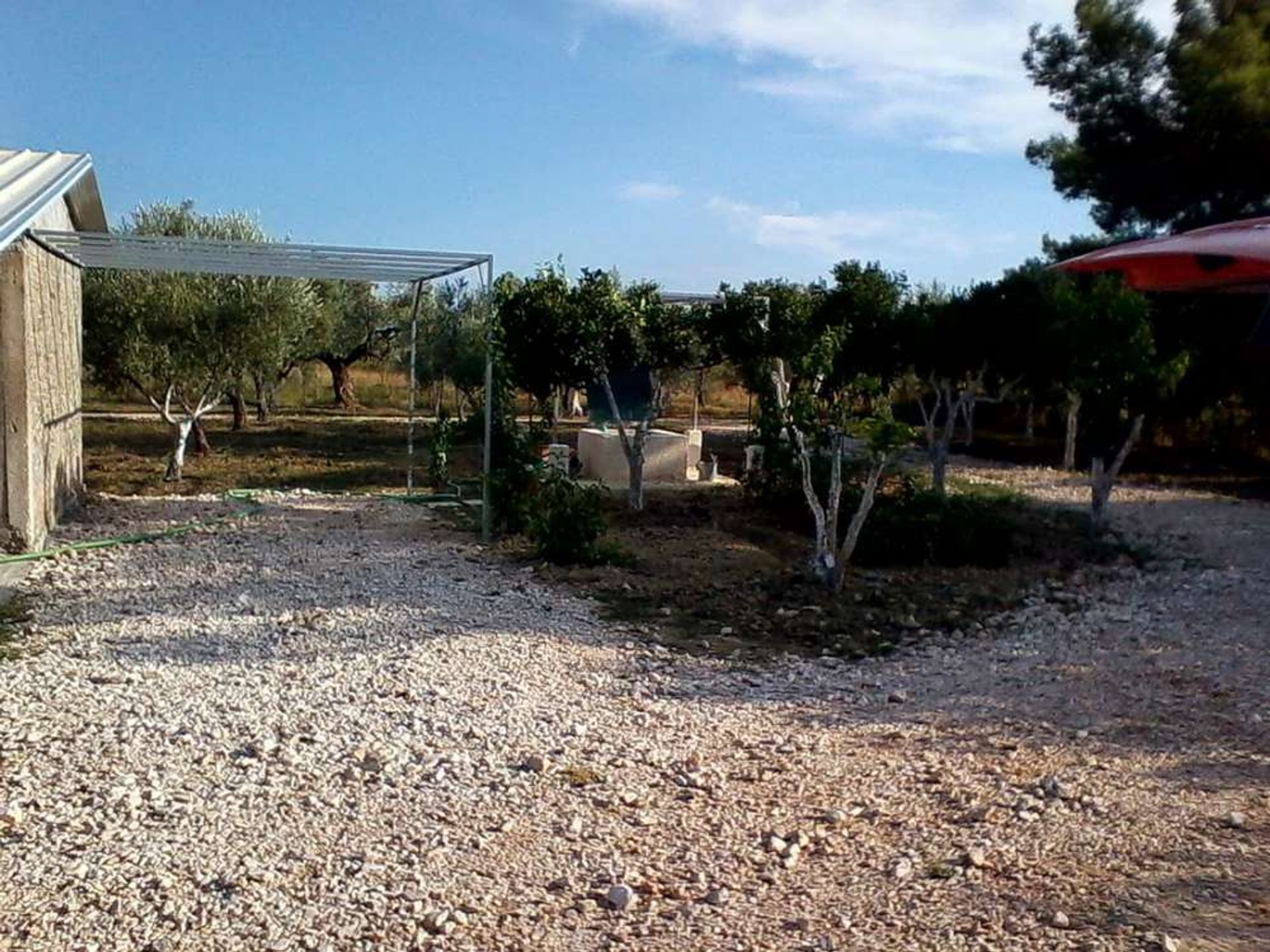 Land i Zakynthos, Zakinthos 10086655