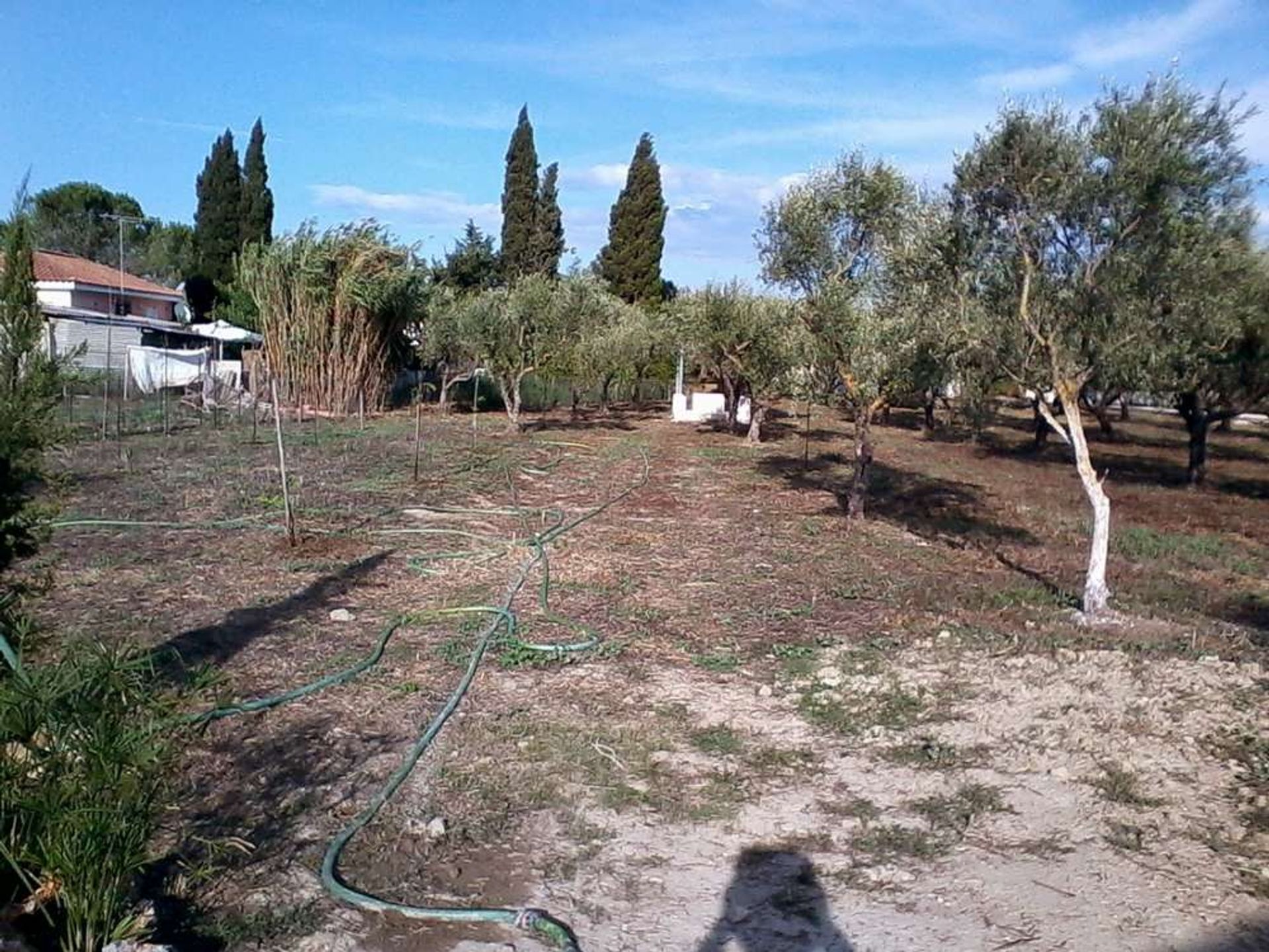 Tanah dalam Zakynthos, Zakinthos 10086655