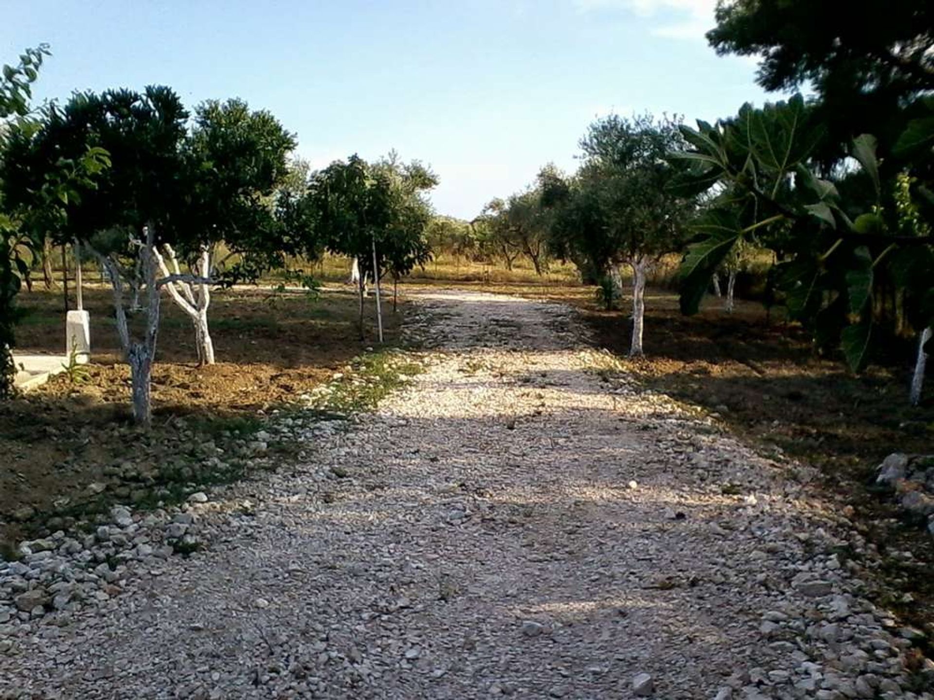 Tanah dalam Zakynthos, Zakinthos 10086655