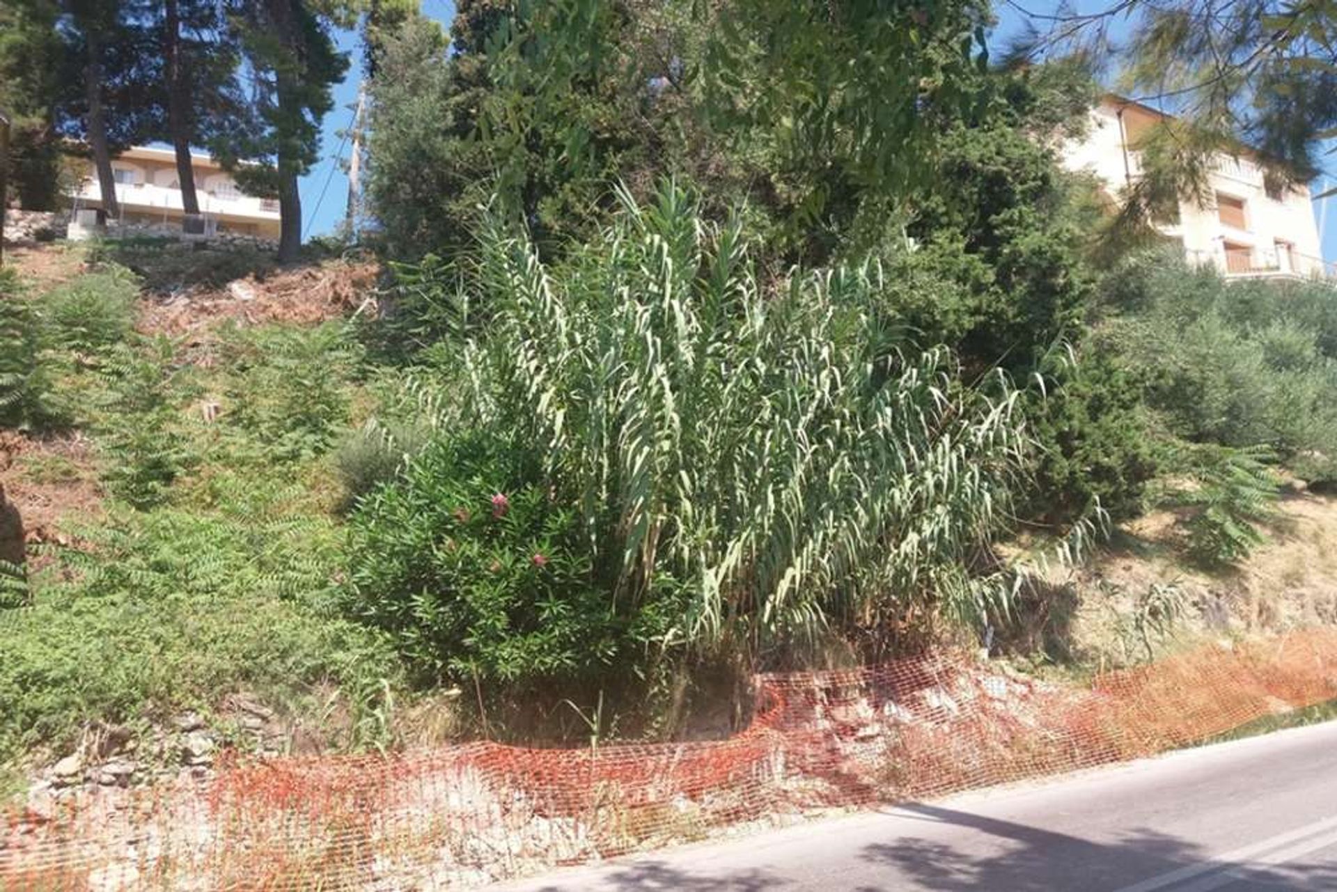 Land in Zakynthos, Zakinthos 10086657