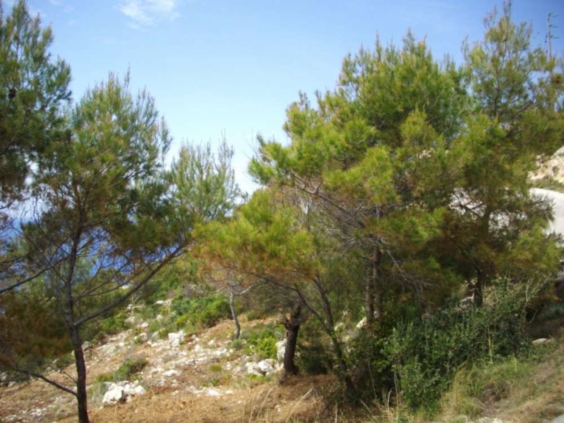 Maa sisään Zakynthos, Zakinthos 10086658