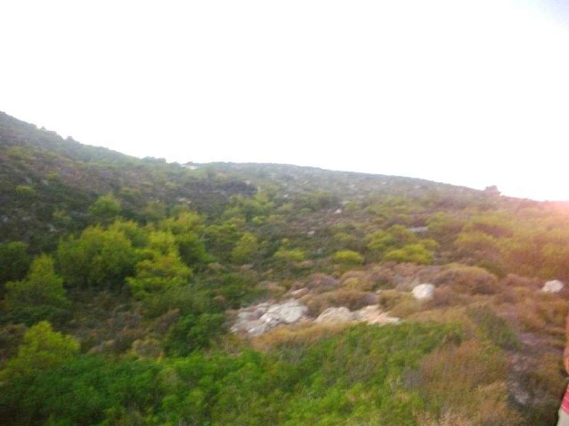 ארץ ב Zakynthos, Zakinthos 10086658