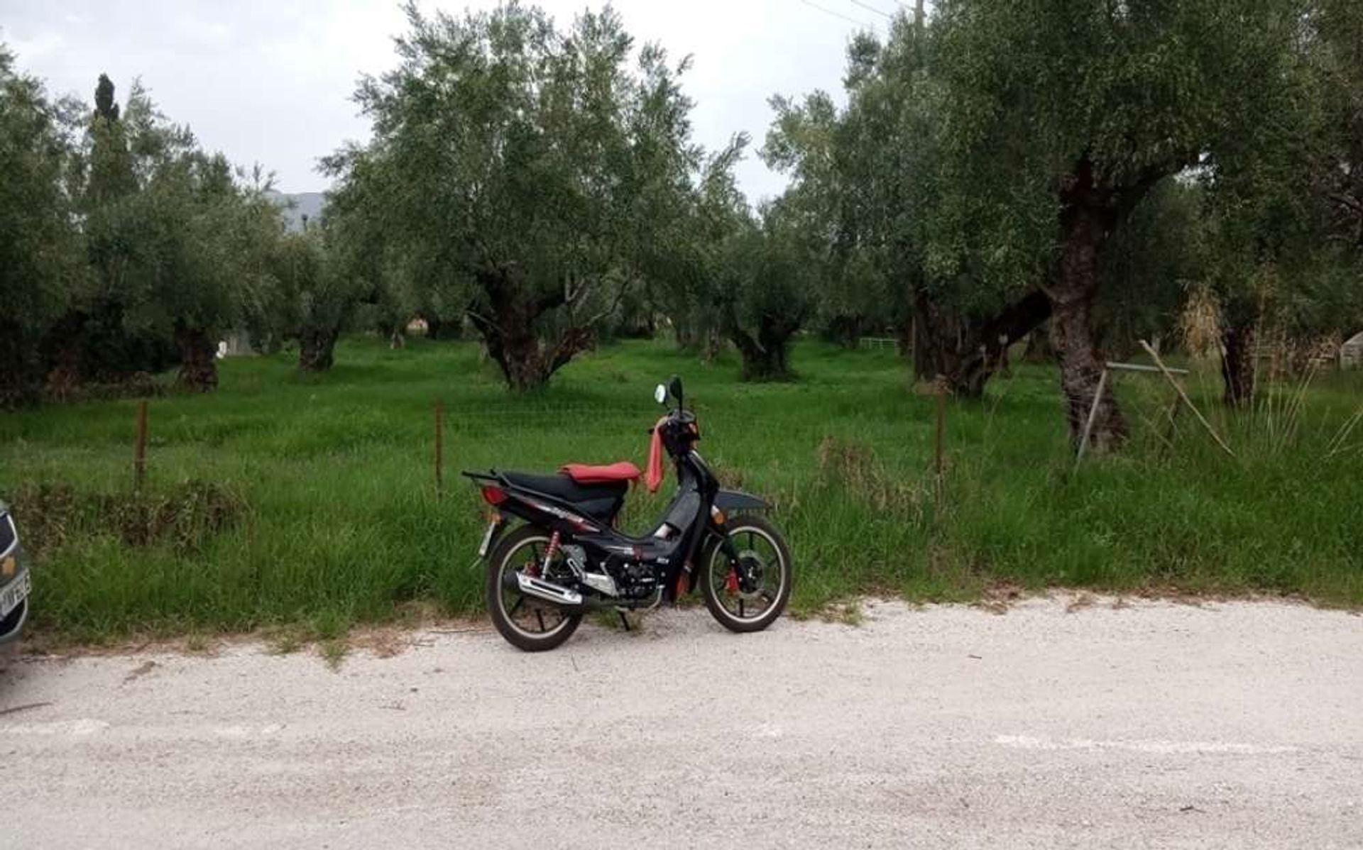 الأرض في Zakynthos, Zakinthos 10086659