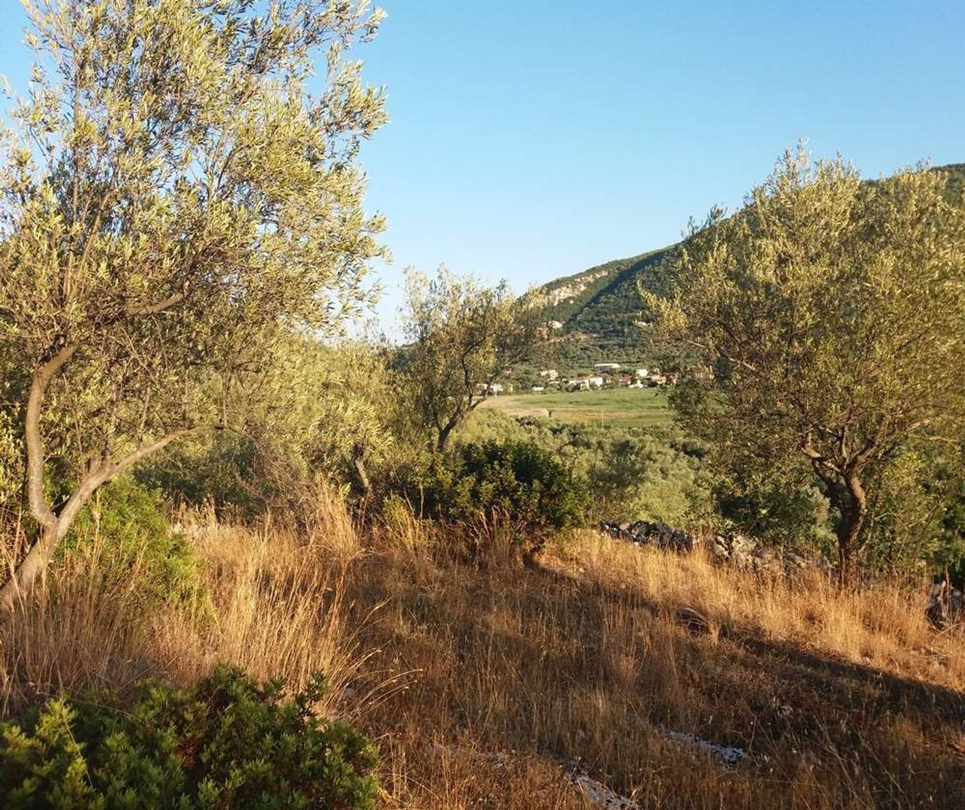 Terre dans Zakynthos, Zakinthos 10086661