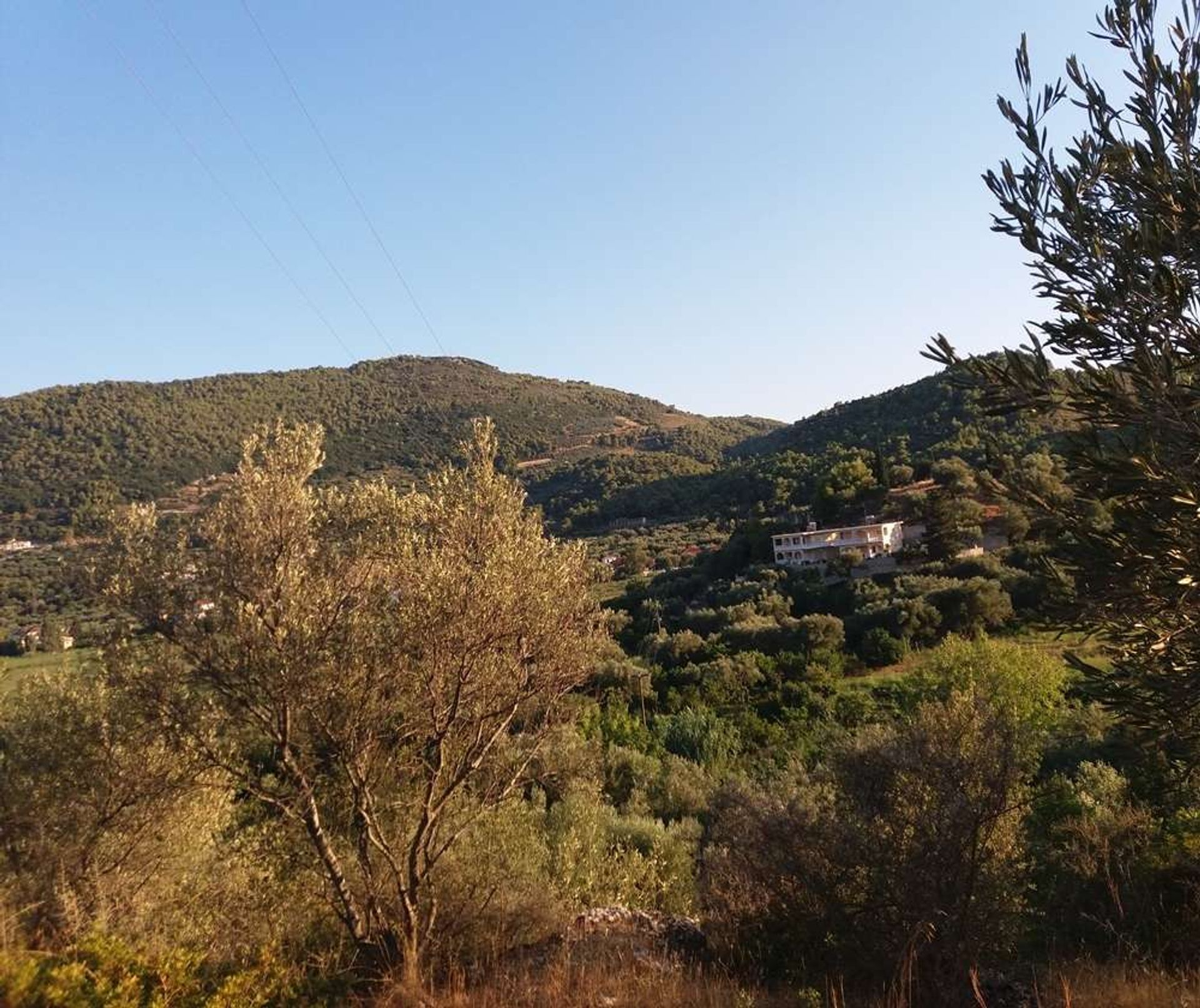 Terre dans Zakynthos, Zakinthos 10086661