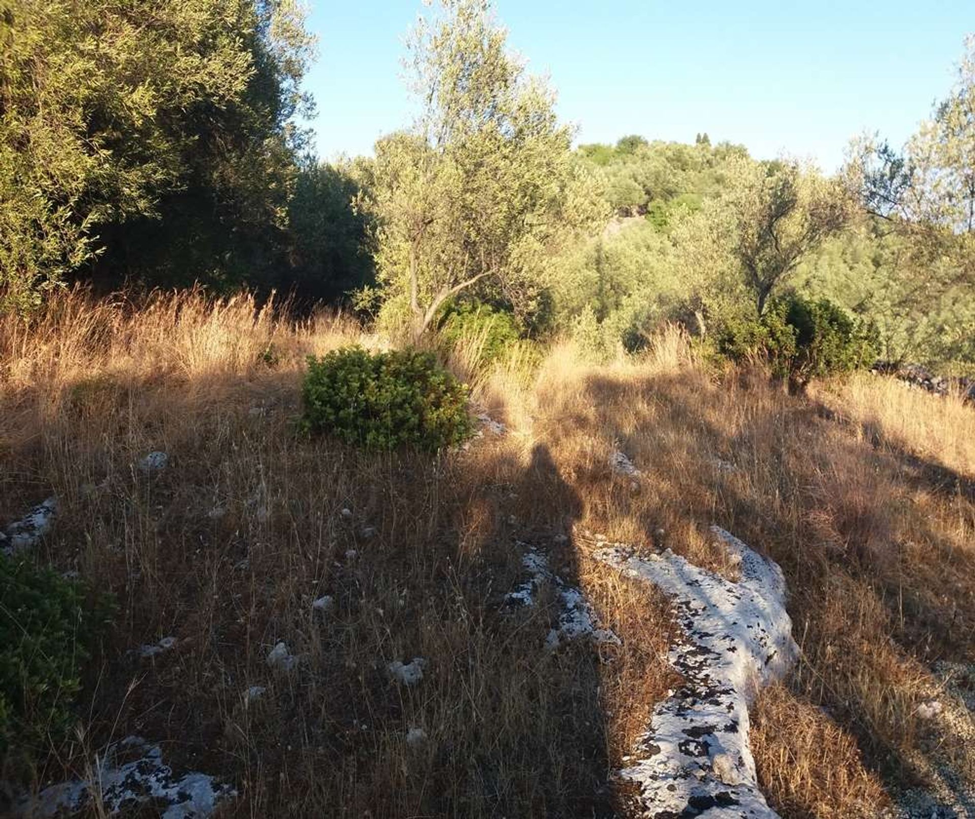 Terre dans Zakynthos, Zakinthos 10086661