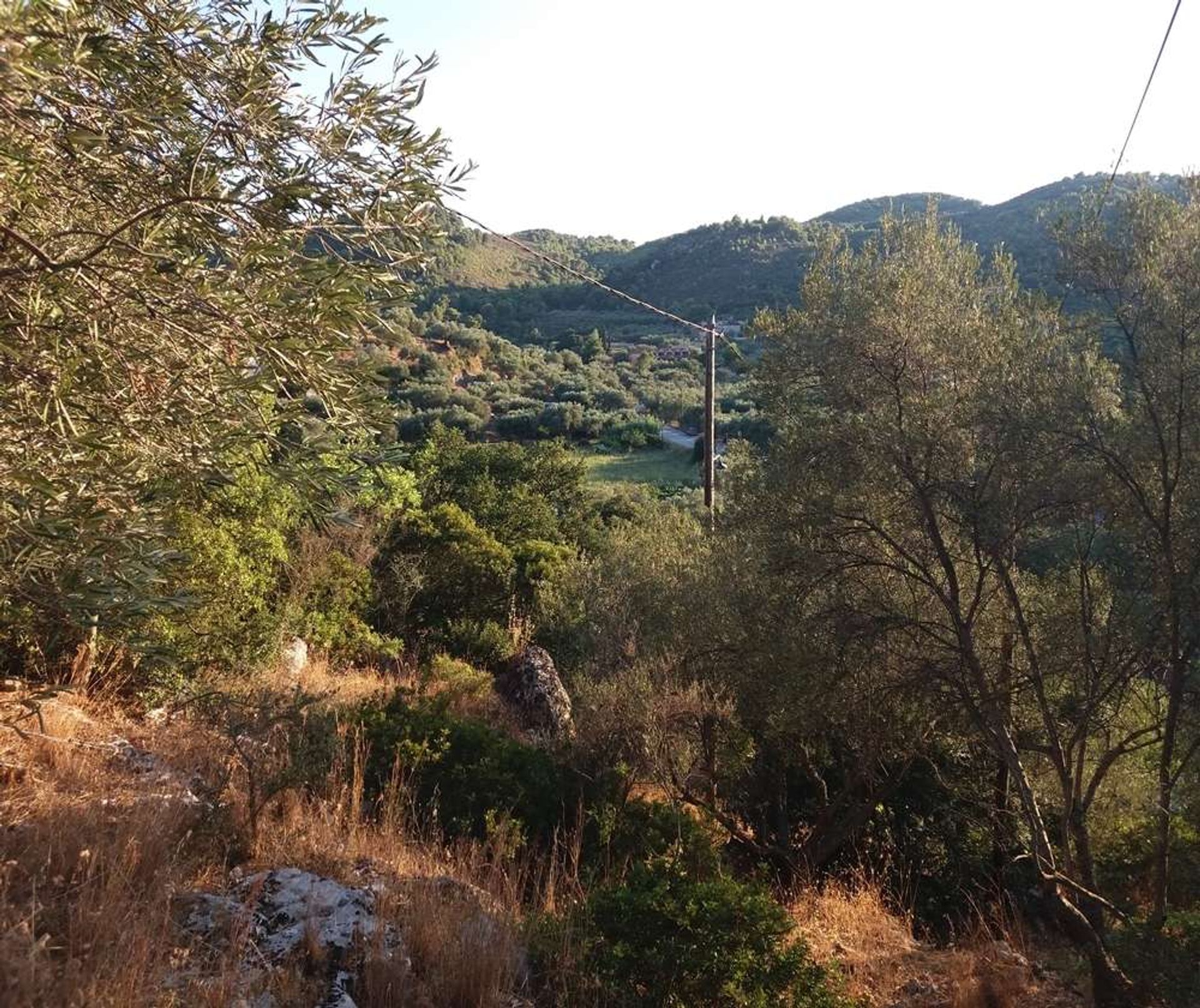 Terre dans Zakynthos, Zakinthos 10086661