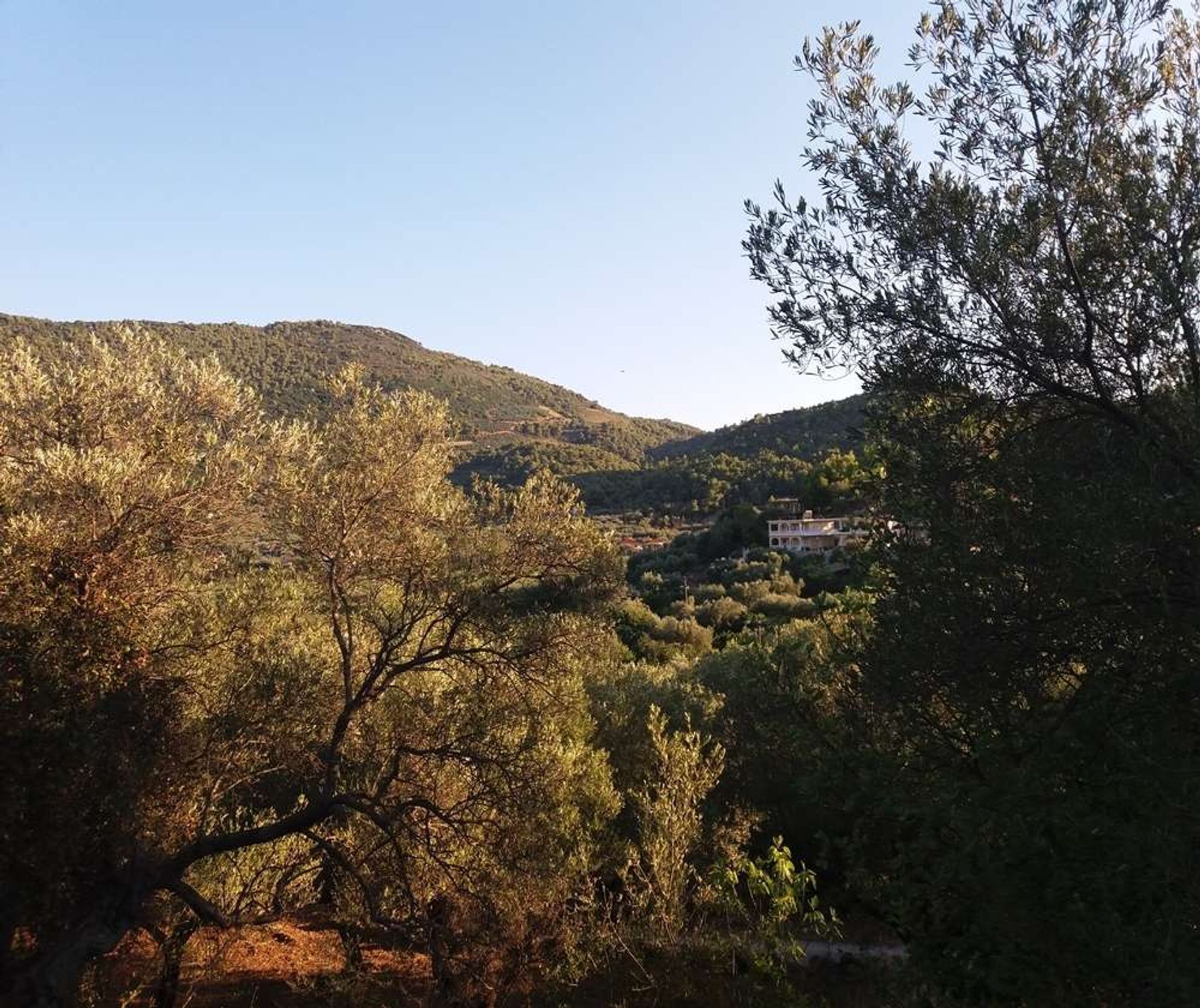 Terre dans Zakynthos, Zakinthos 10086661