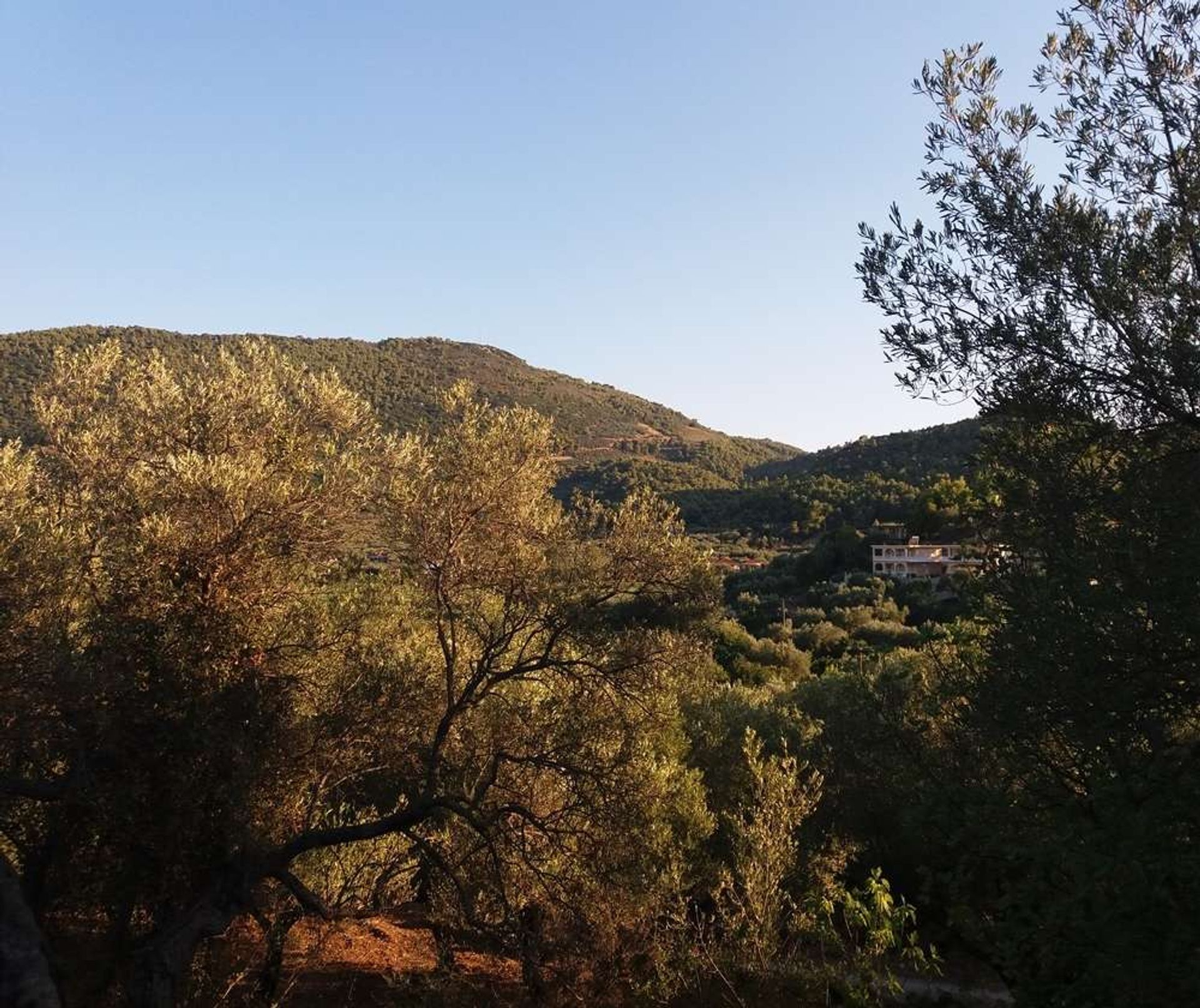 Terre dans Zakynthos, Zakinthos 10086661