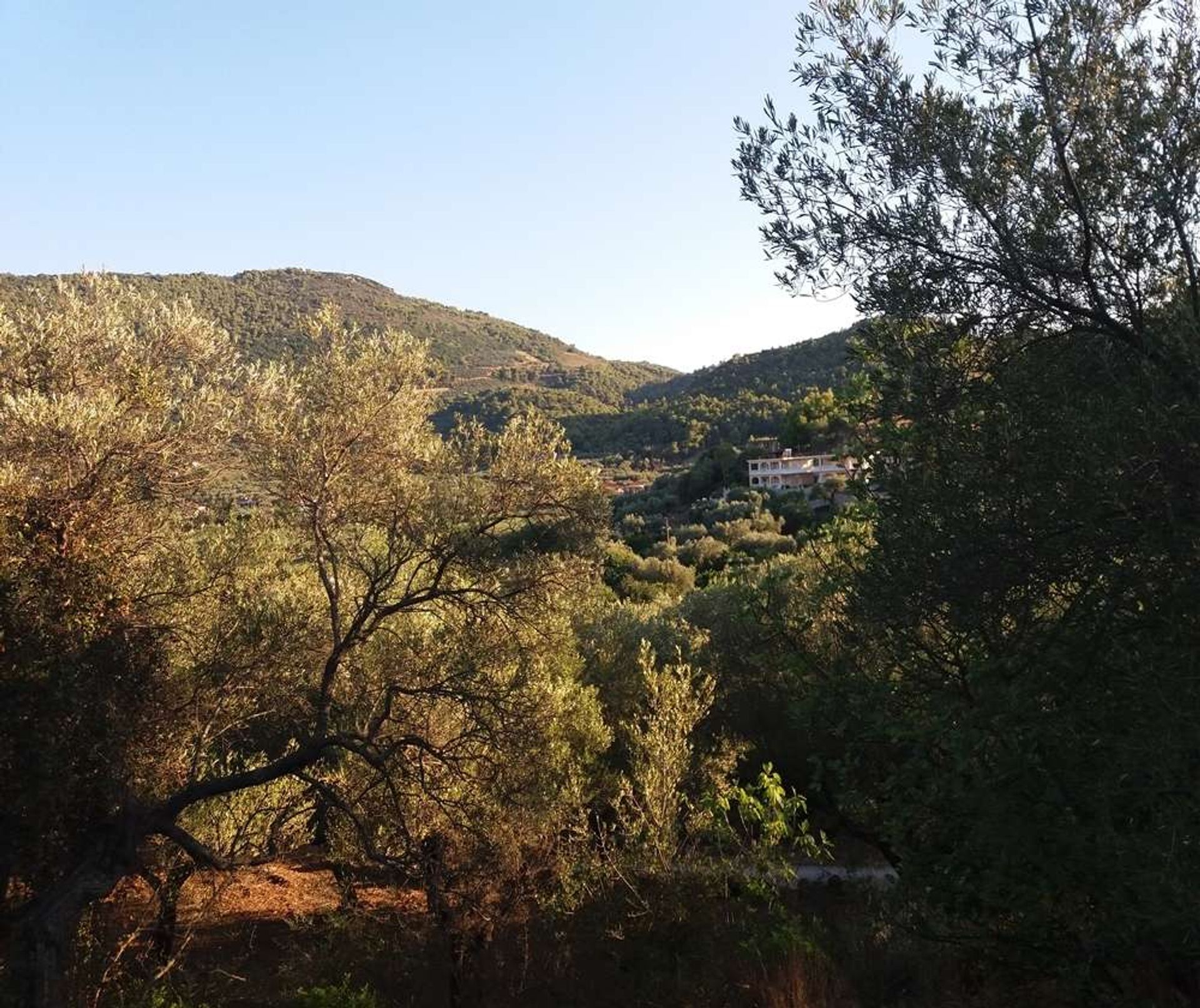 Terre dans Zakynthos, Zakinthos 10086661