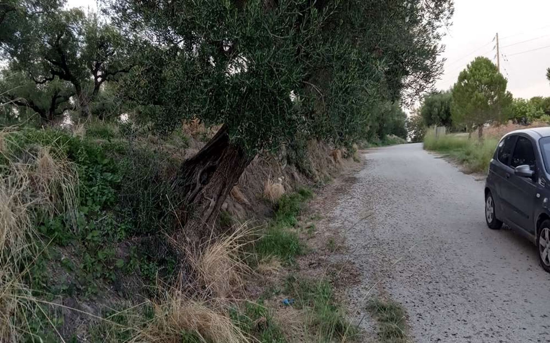 土地 在 Zakynthos, Zakinthos 10086662