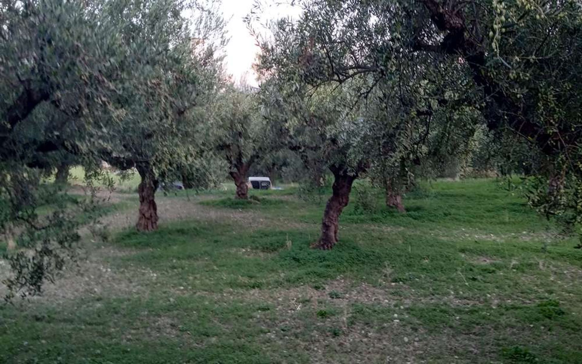 土地 在 Zakynthos, Zakinthos 10086662