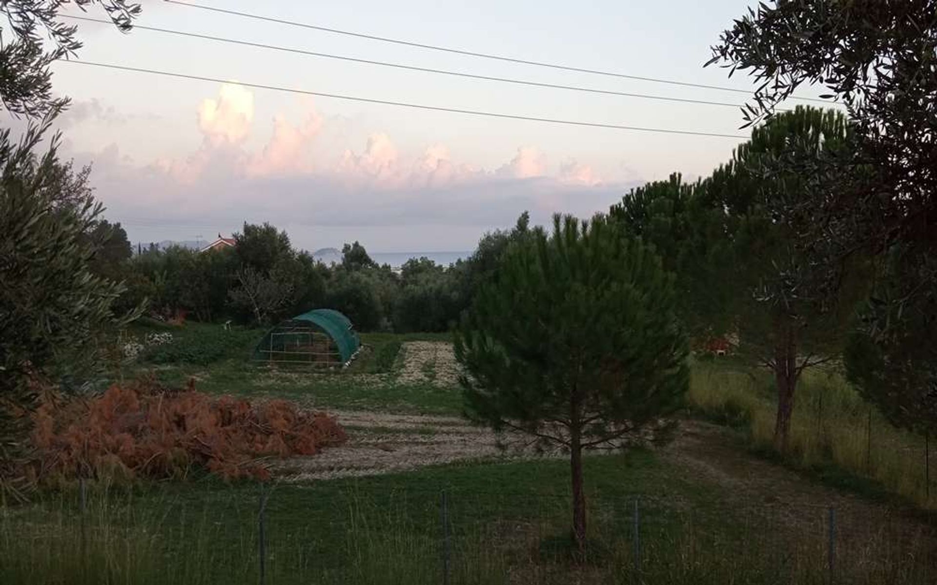 土地 在 Zakynthos, Zakinthos 10086662