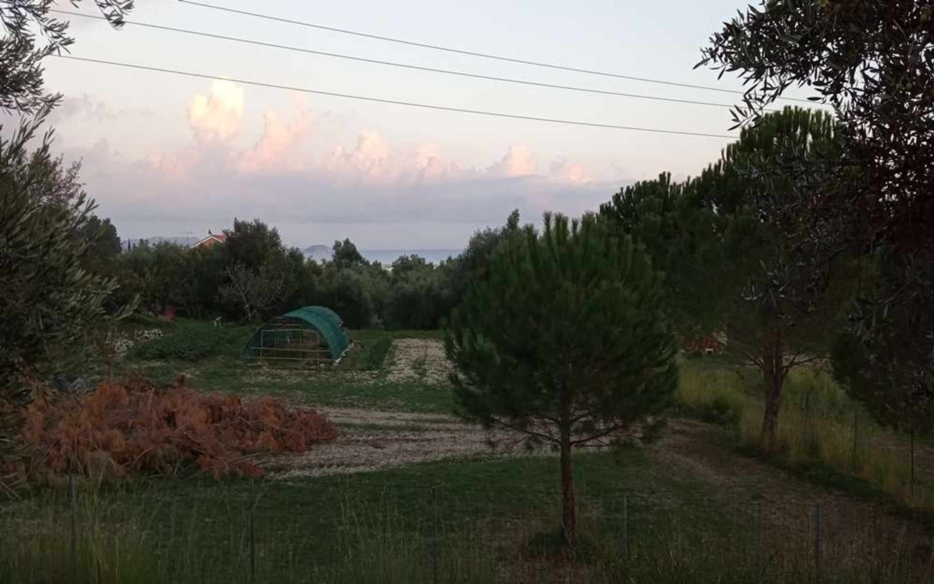 土地 在 Zakynthos, Zakinthos 10086662