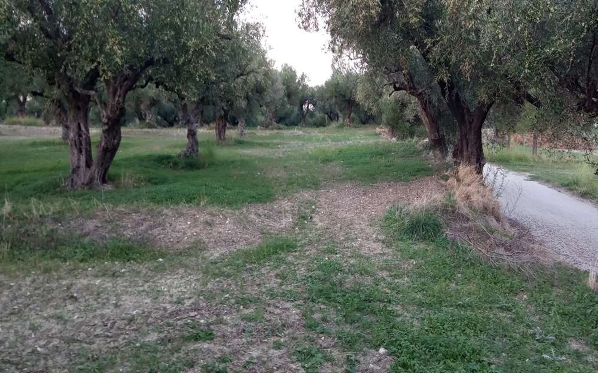 Land in Bochali, Ionië Nisia 10086662