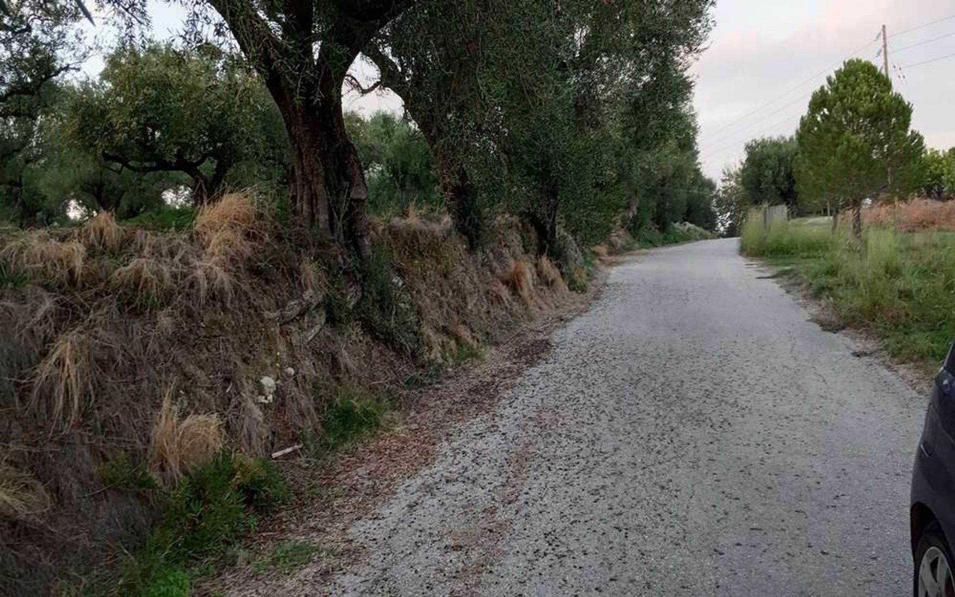 土地 在 Zakynthos, Zakinthos 10086662