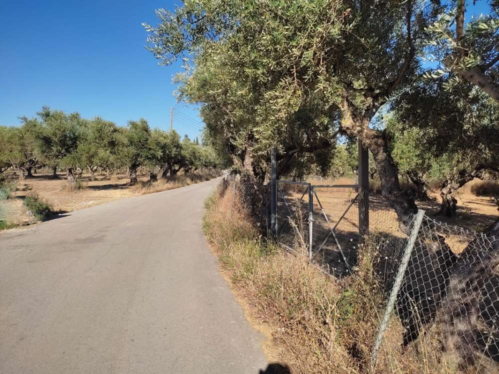 Tierra en Zakynthos, Zakinthos 10086663