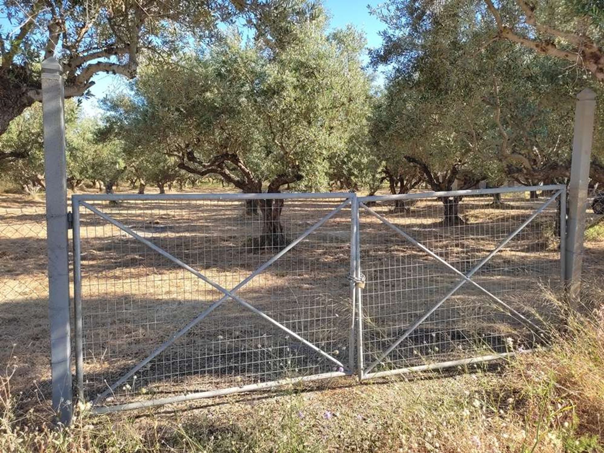 Tierra en Zakynthos, Zakinthos 10086663