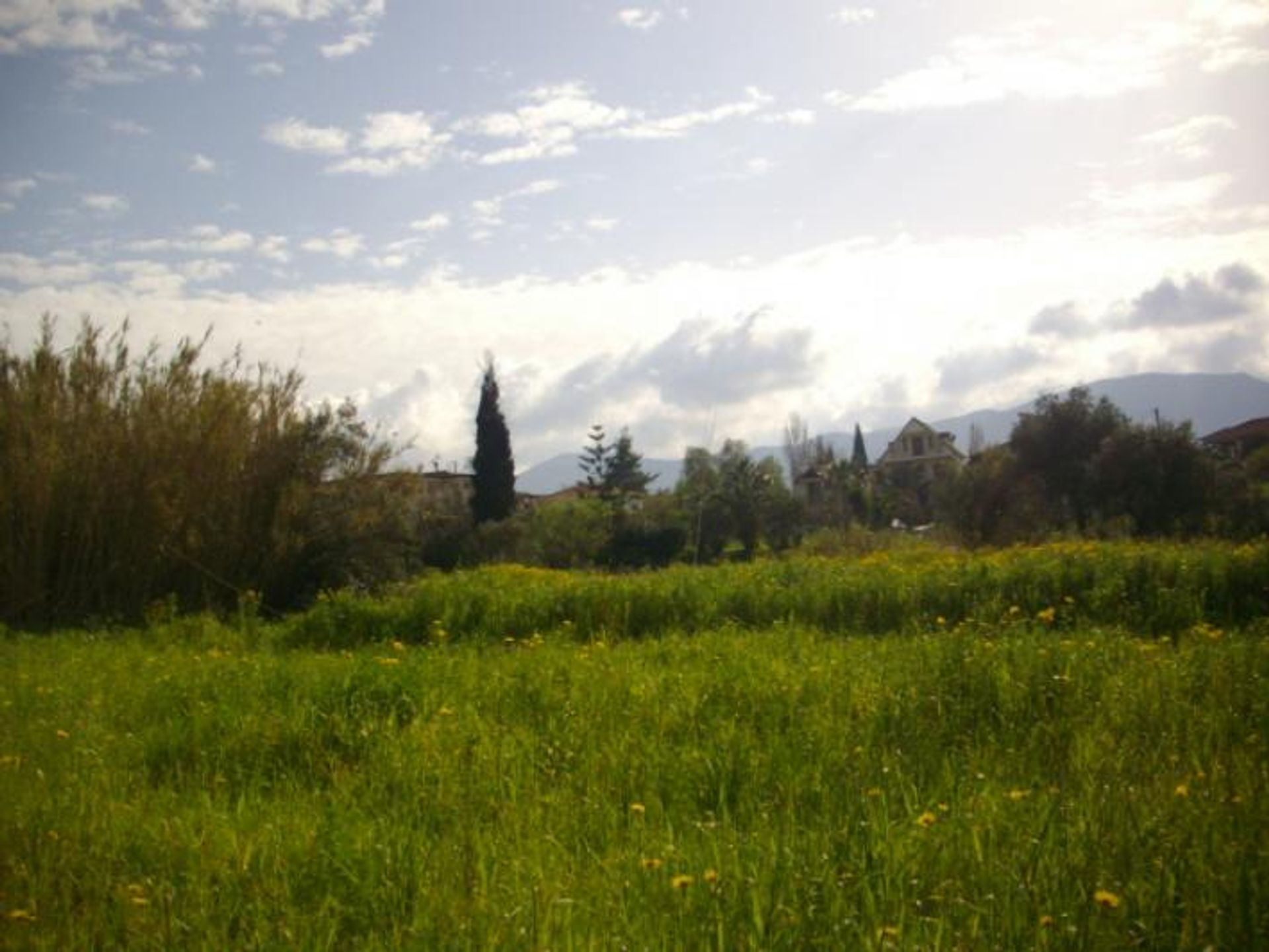 ארץ ב בוצ'אלי, יוניה ניסיה 10086666