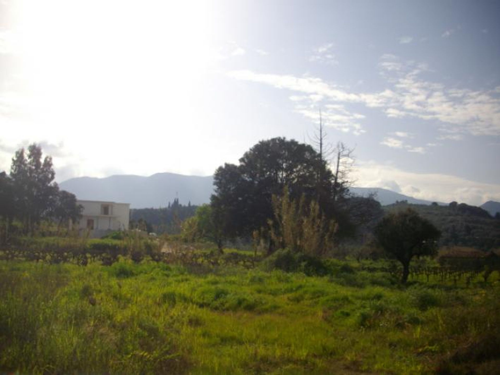 Land in Bochali, Ionië Nisia 10086666