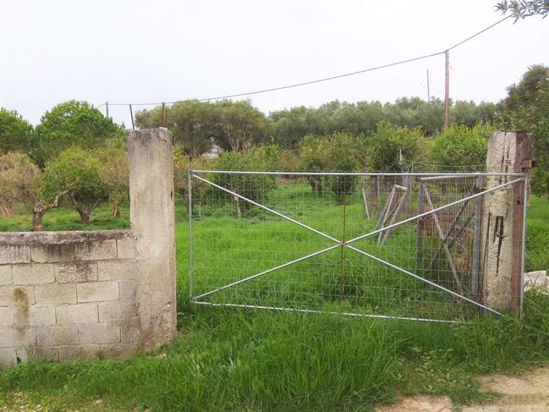 Land in Bochali, Ionia Nisia 10086668