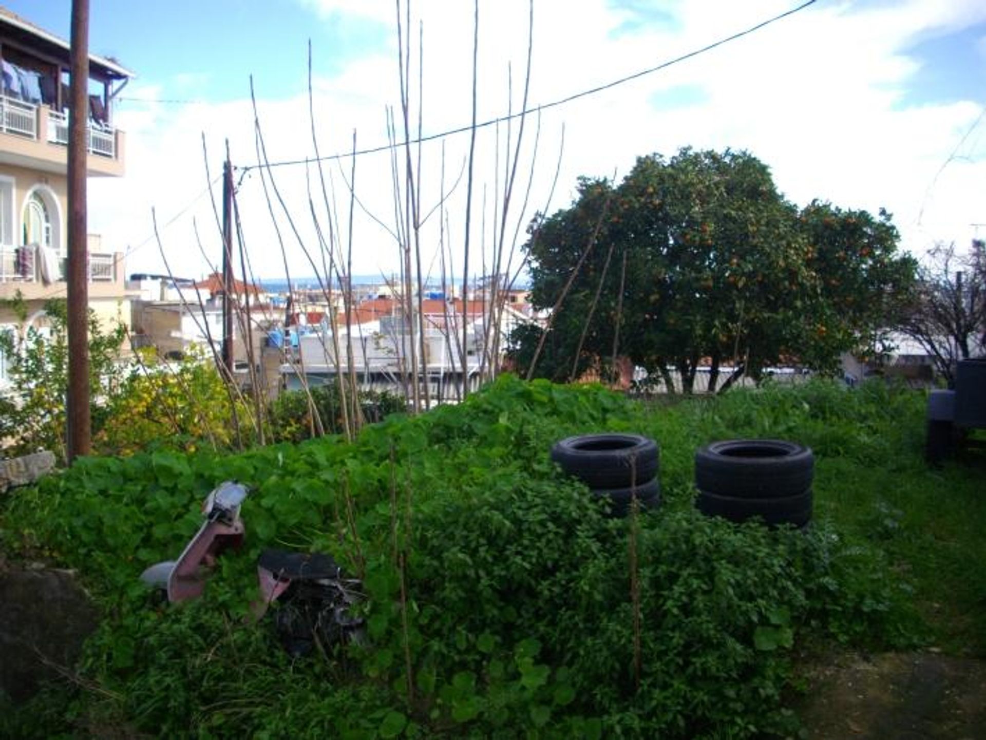 Tierra en bochalí, Jonia Nisia 10086670