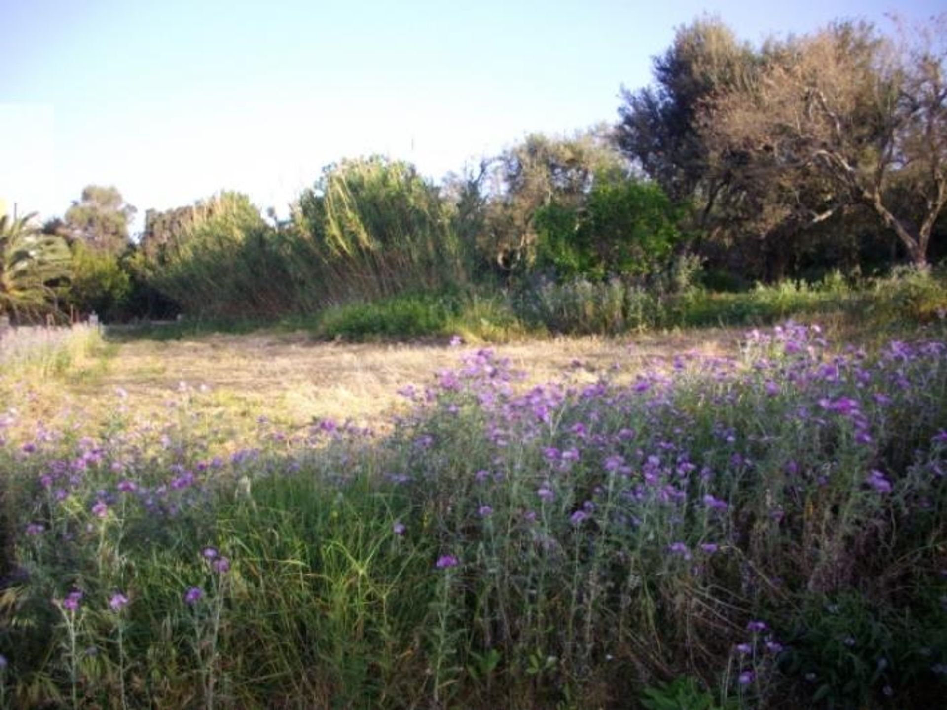 Land in Alikanas, Ionia Nisia 10086672