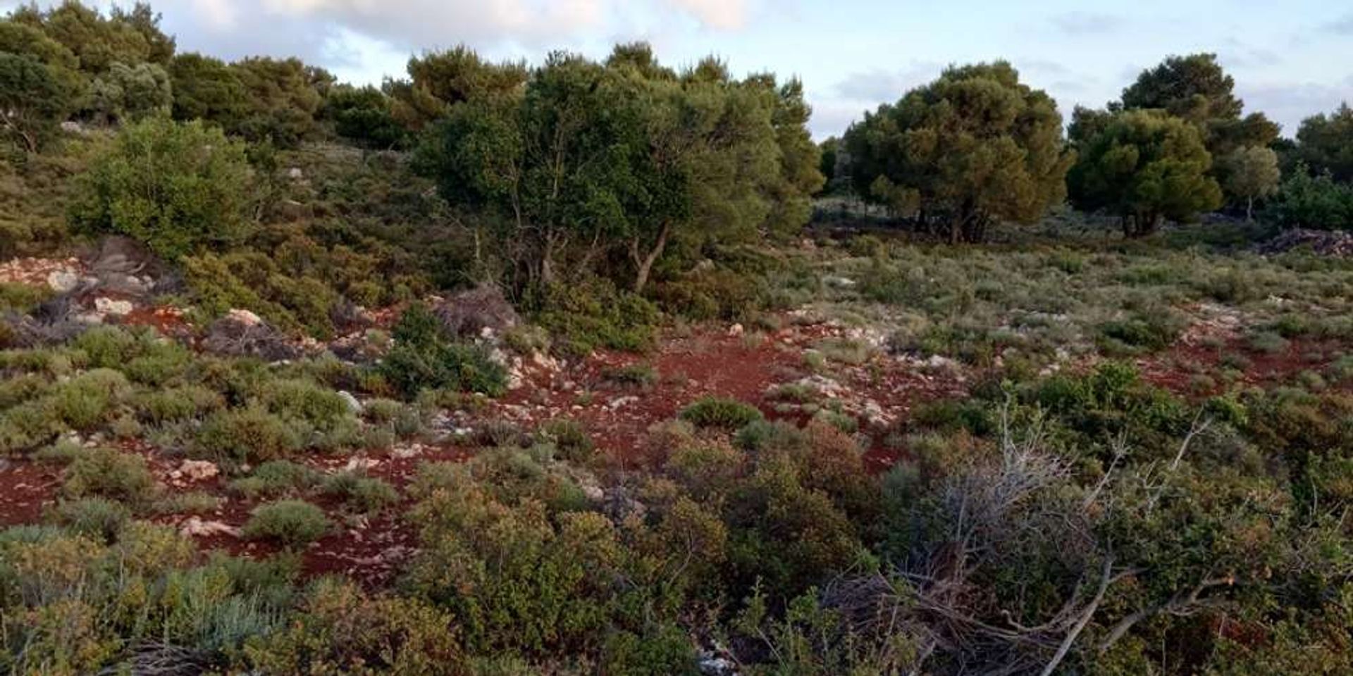 Tanah dalam Zakynthos, Zakinthos 10086673