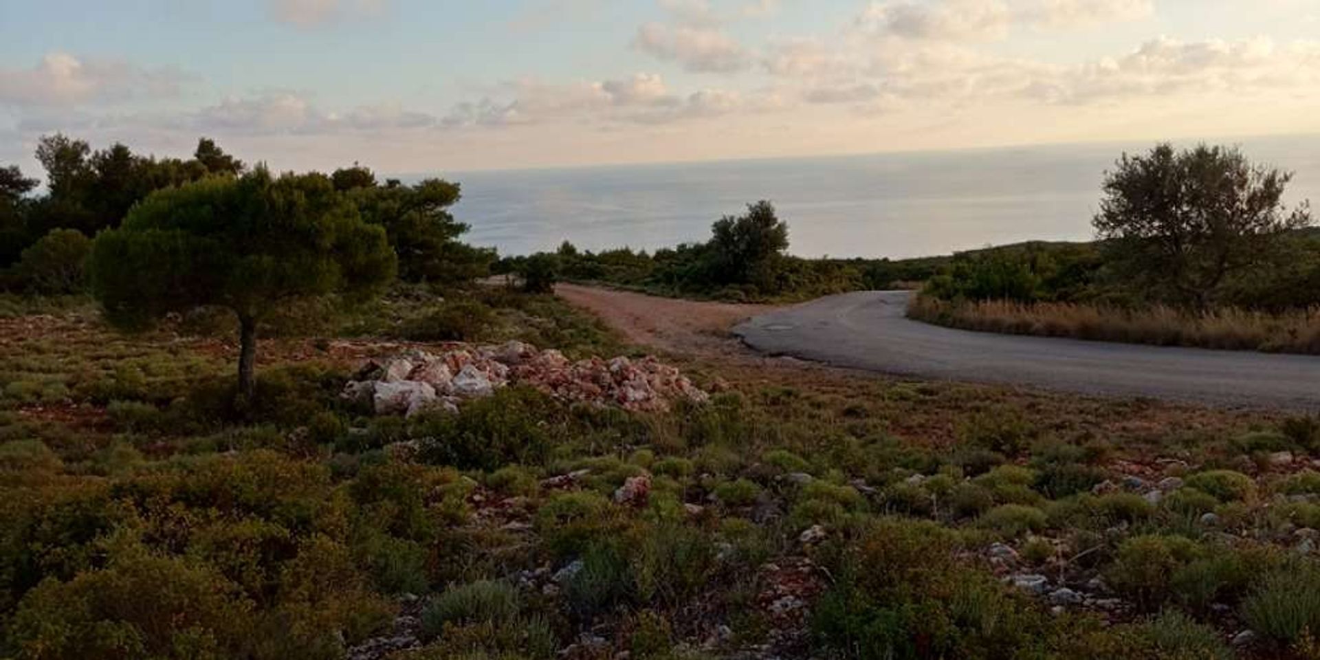 Tierra en bochalí, Jonia Nisia 10086673