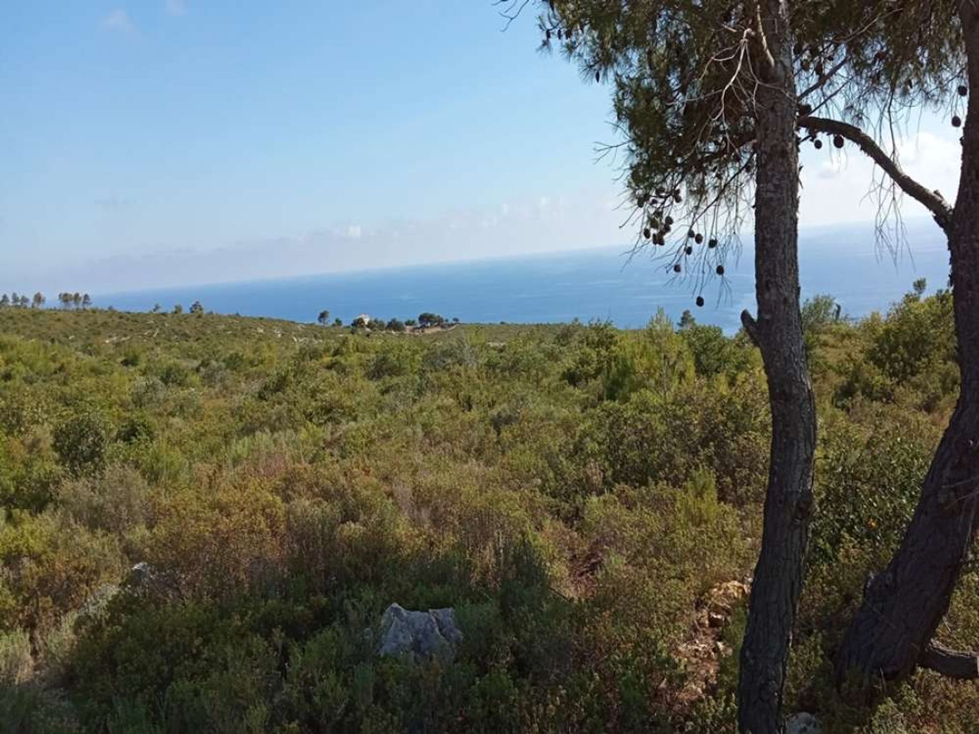 土地 在 Zakynthos, Zakinthos 10086673