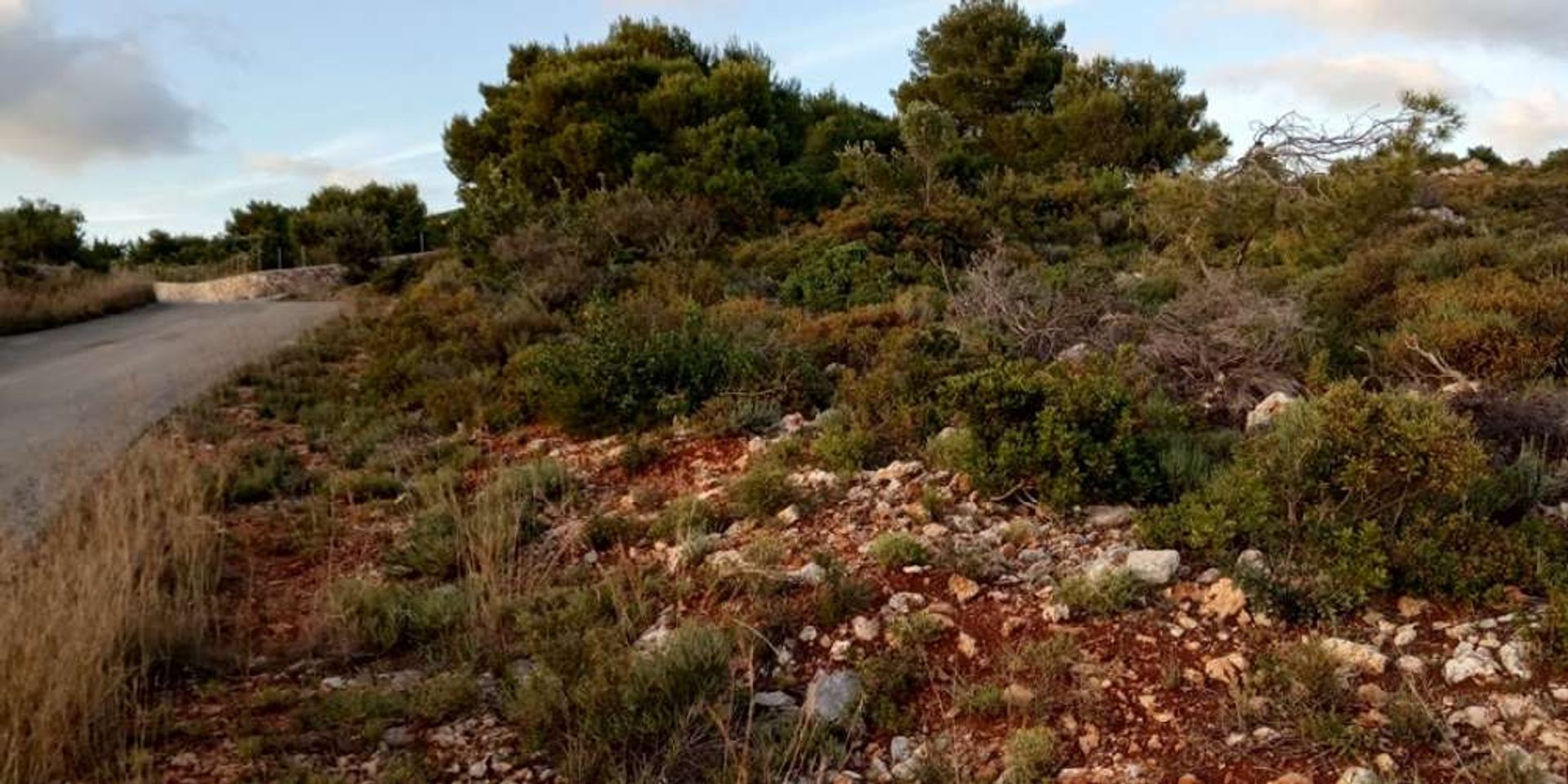 Tanah dalam Zakynthos, Zakinthos 10086673