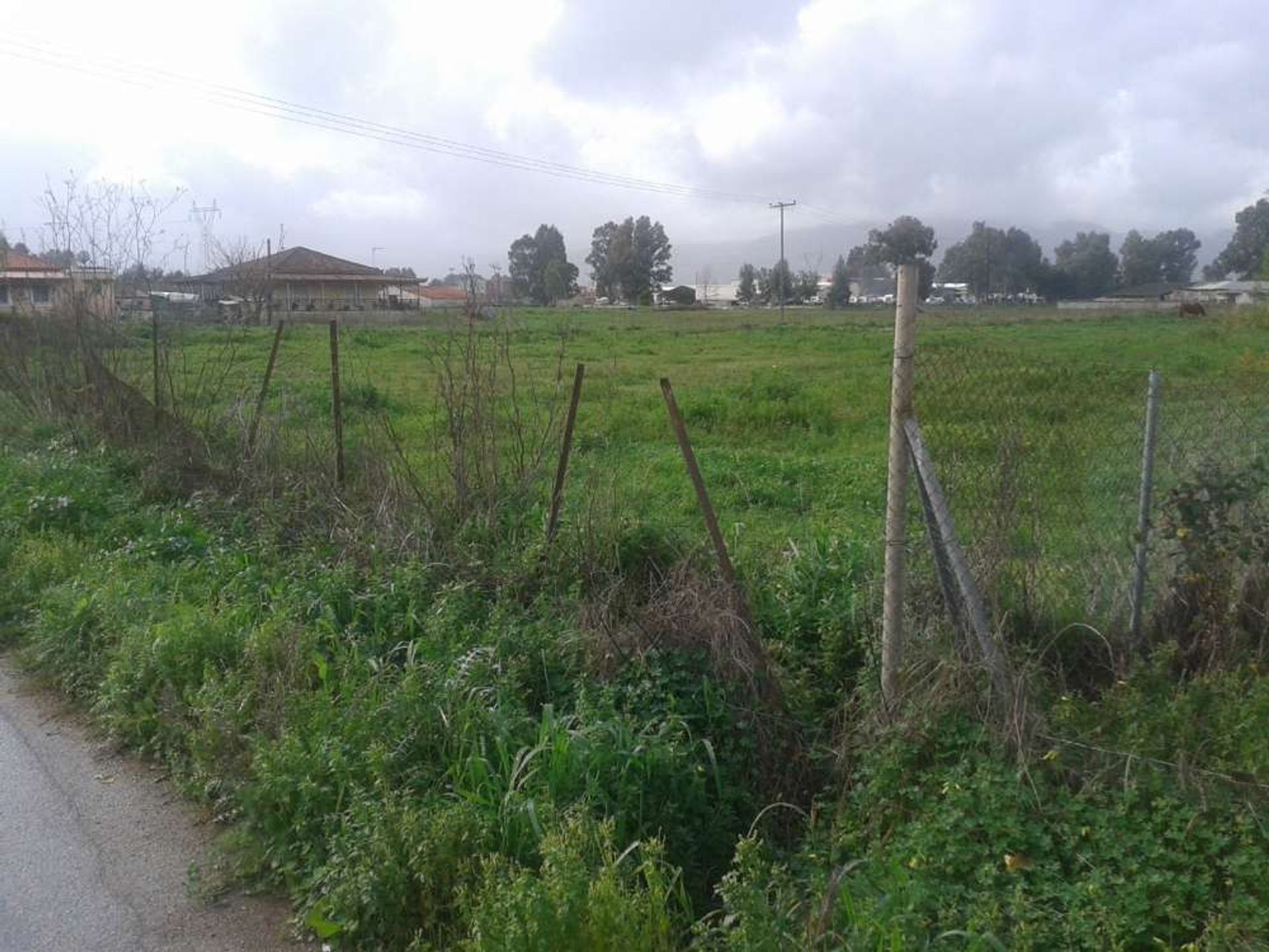 Land im Zakynthos, Zakinthos 10086674