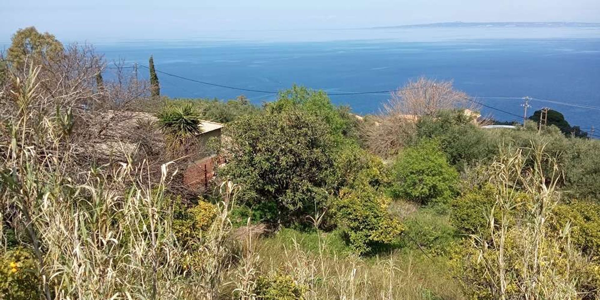 ארץ ב Zakynthos, Zakinthos 10086675