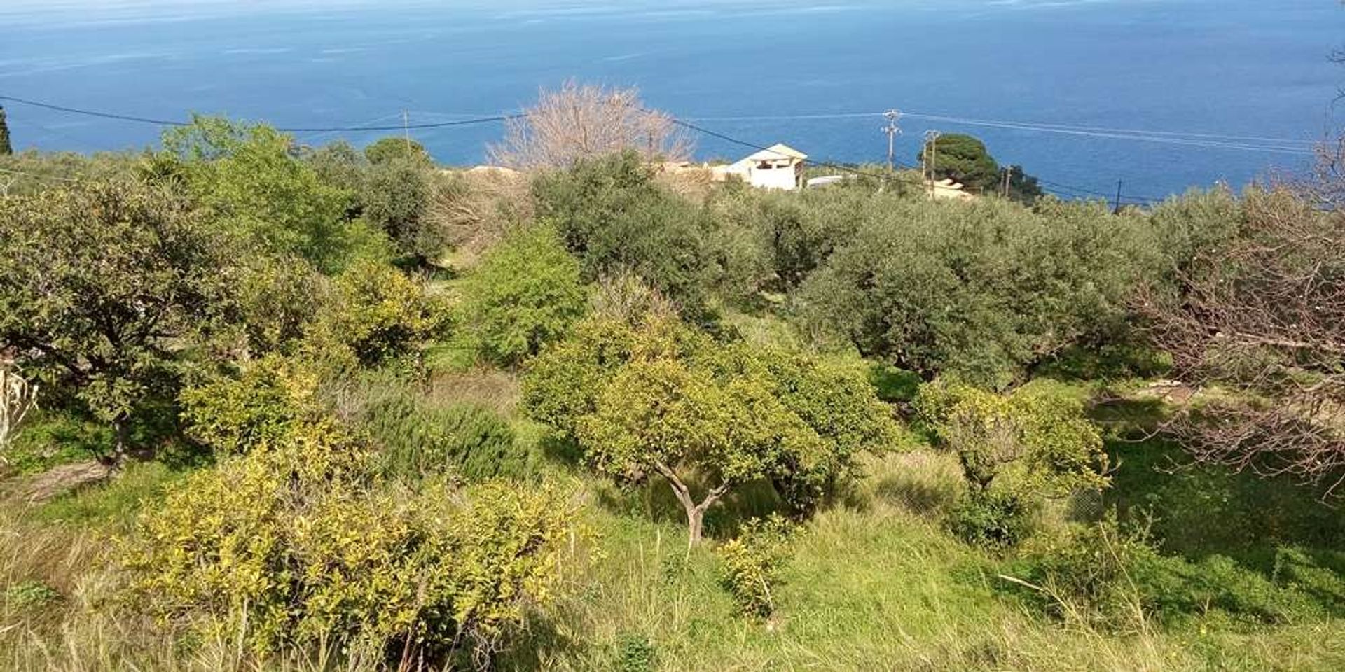 ארץ ב Zakynthos, Zakinthos 10086675