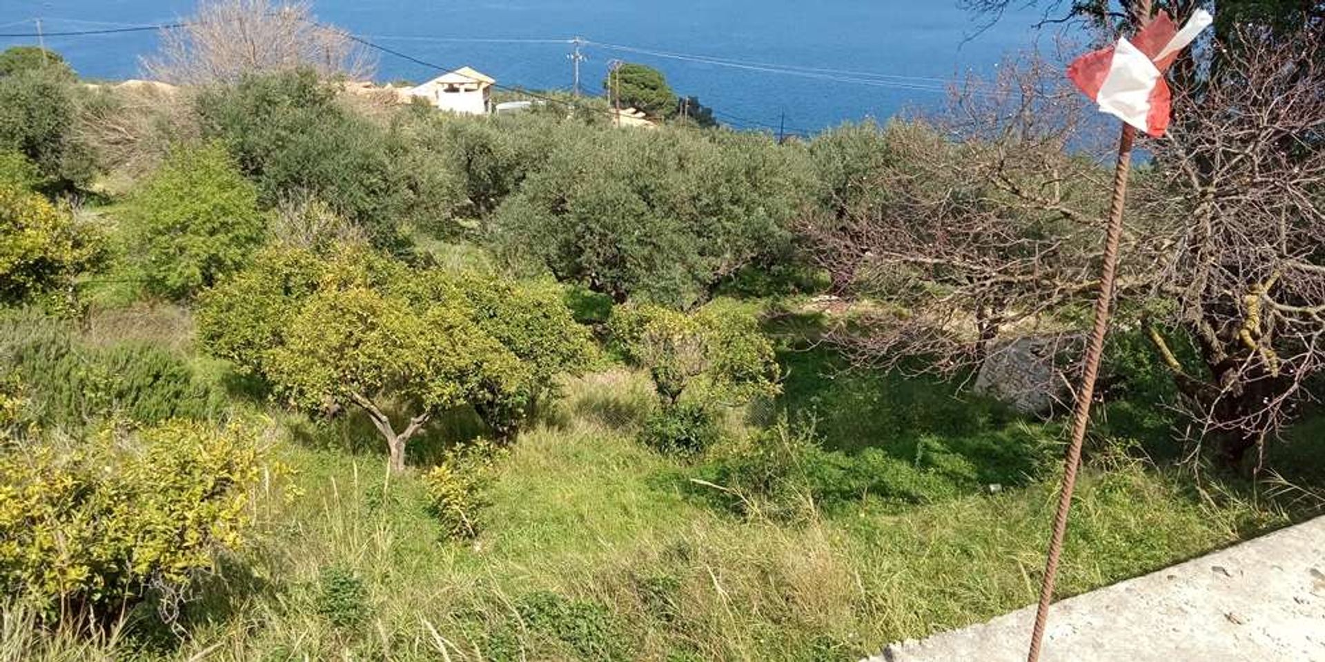 ארץ ב Zakynthos, Zakinthos 10086675