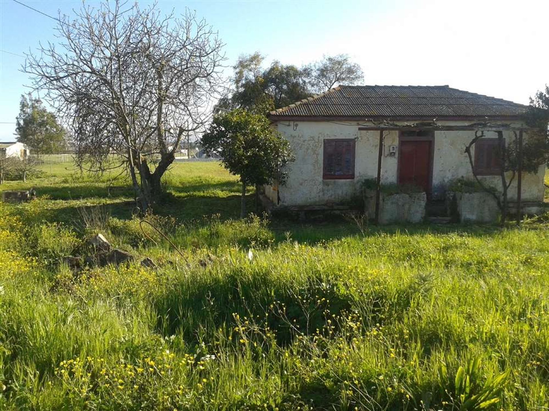 Tanah dalam Zakynthos, Zakinthos 10086676