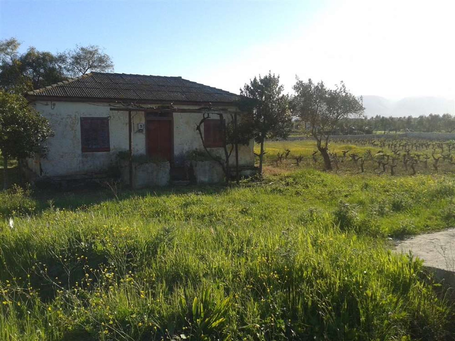 Tanah dalam Zakynthos, Zakinthos 10086676