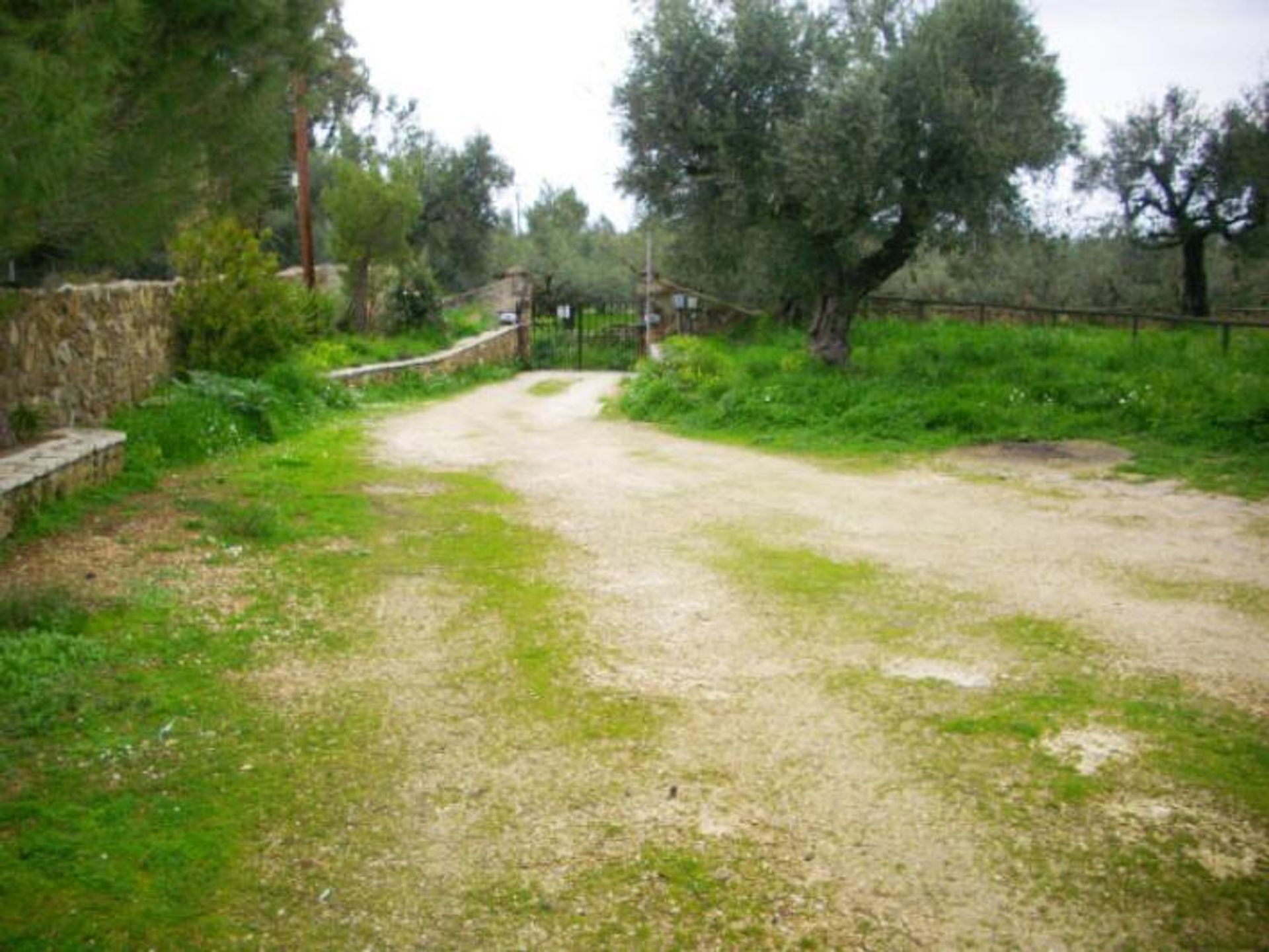 Tanah dalam Zakynthos, Zakinthos 10086679