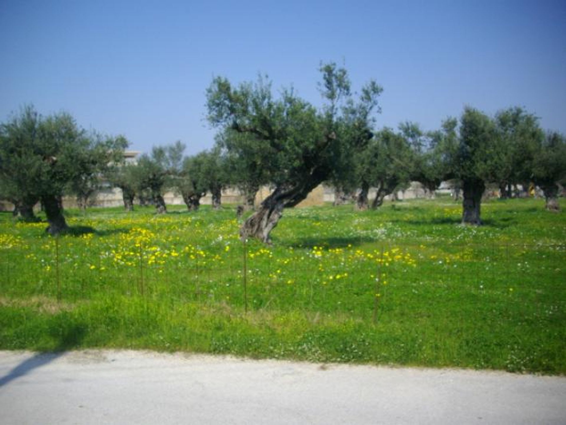 Land in Zakynthos, Zakinthos 10086681